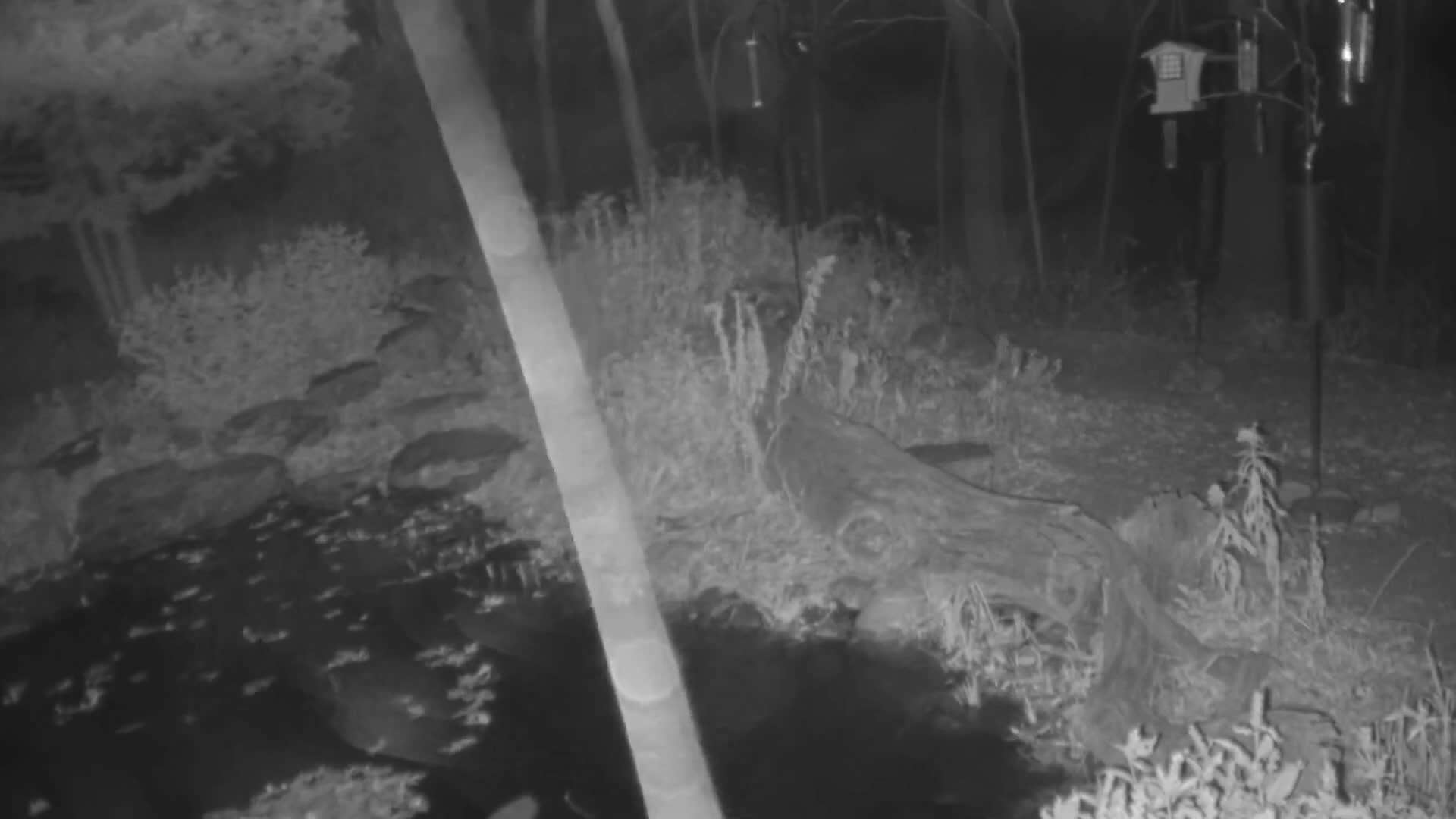 Bloomington, Richardson Nature Center Live Cam – Bloomington, Hennepin, Minnesota, USA