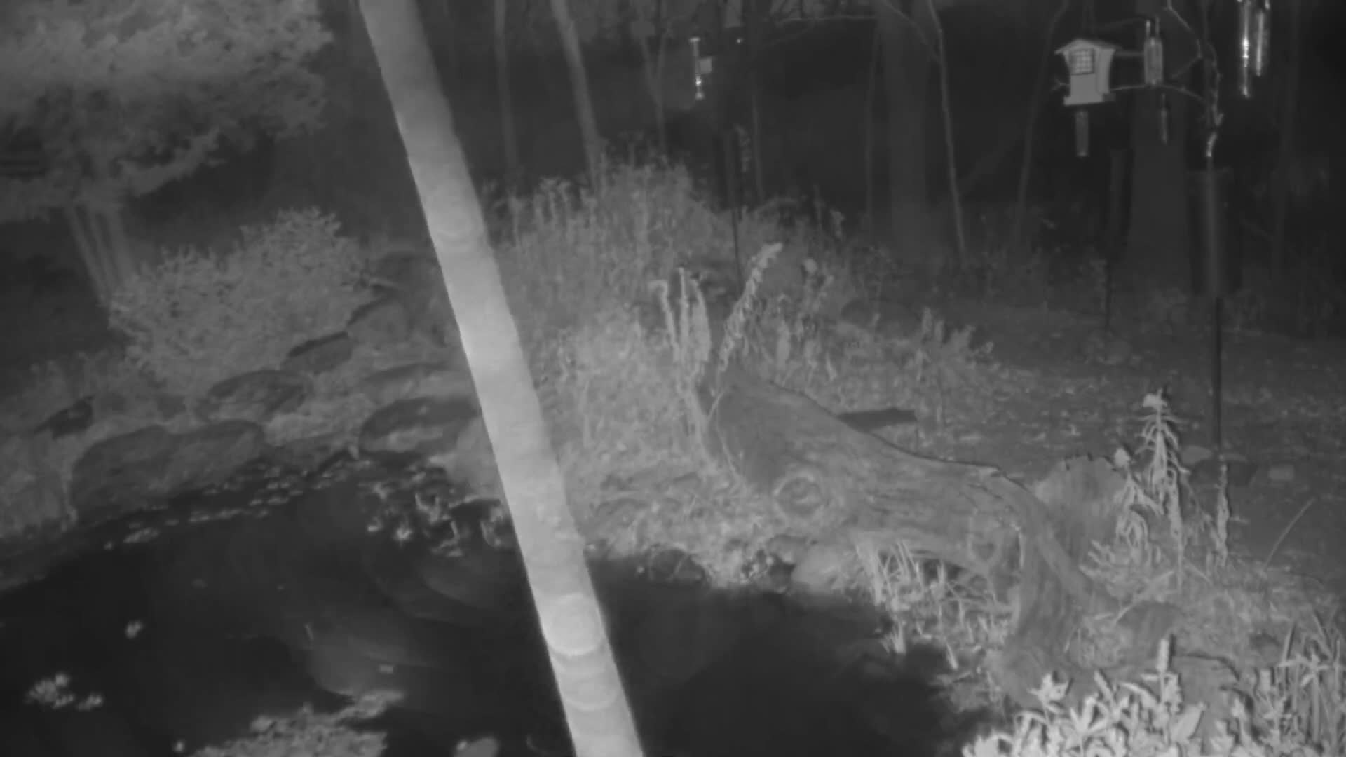 Bloomington, Richardson Nature Center Live Cam – Bloomington, Hennepin, Minnesota, USA