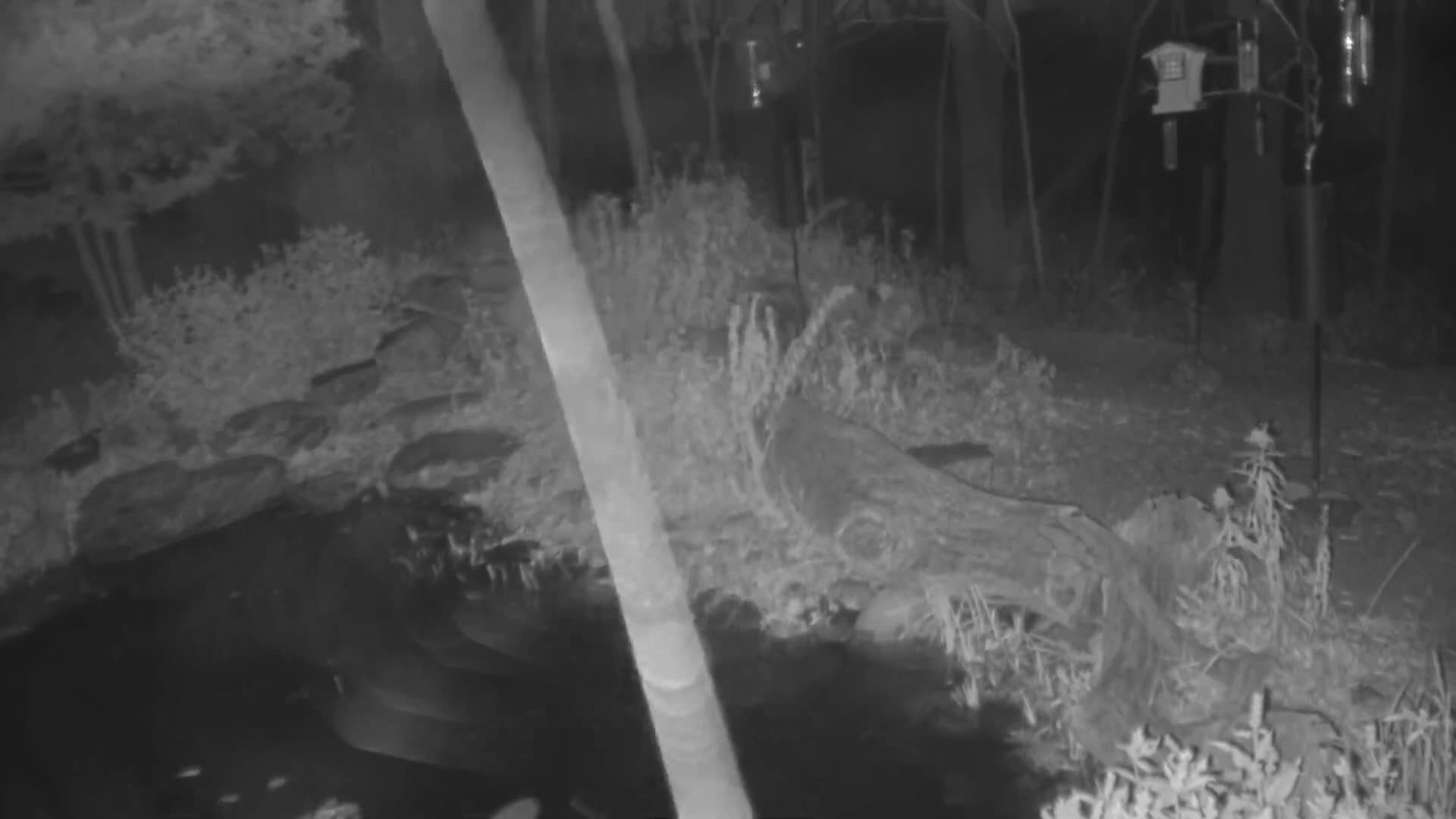 Bloomington, Richardson Nature Center Live Cam – Bloomington, Hennepin, Minnesota, USA