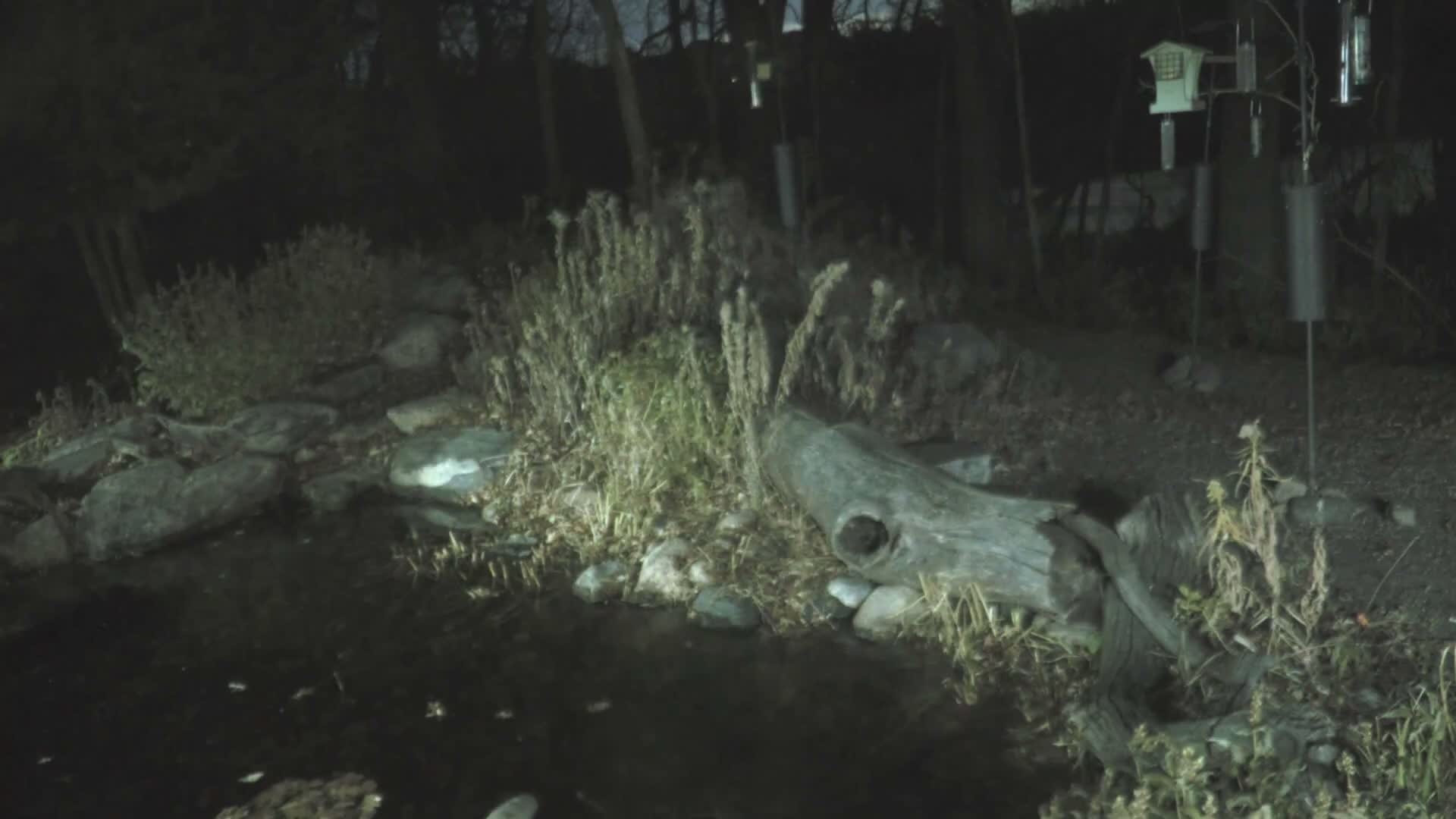 Bloomington, Richardson Nature Center Live Cam – Bloomington, Hennepin, Minnesota, USA