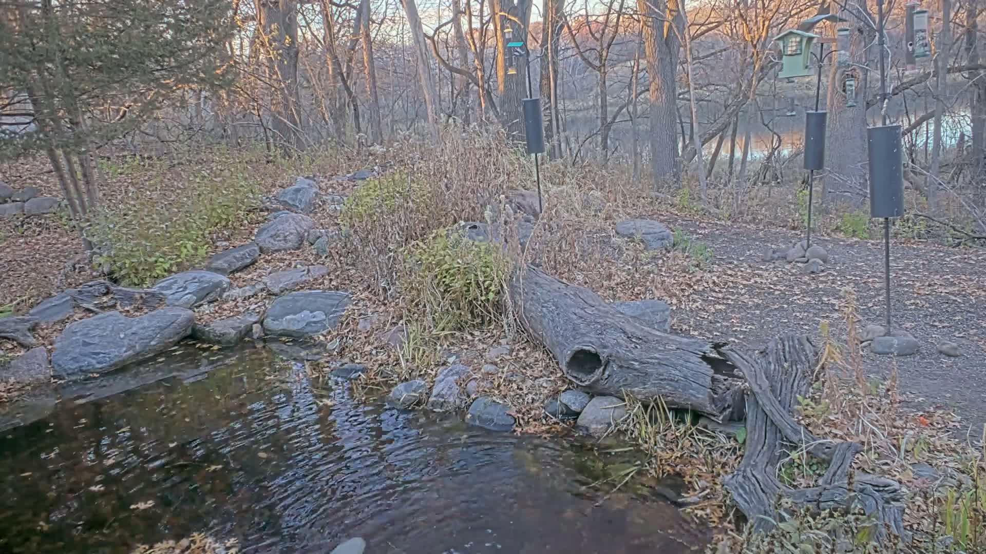 Bloomington, Richardson Nature Center Live Cam – Bloomington, Hennepin, Minnesota, USA
