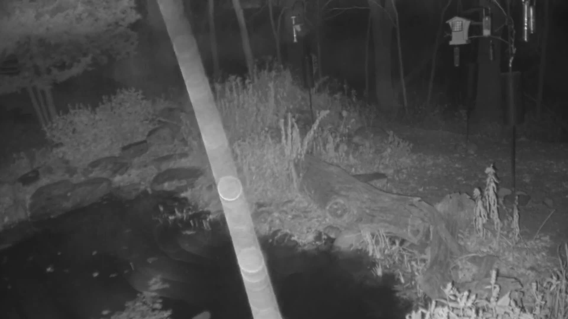 Bloomington, Richardson Nature Center Live Cam – Bloomington, Hennepin, Minnesota, USA