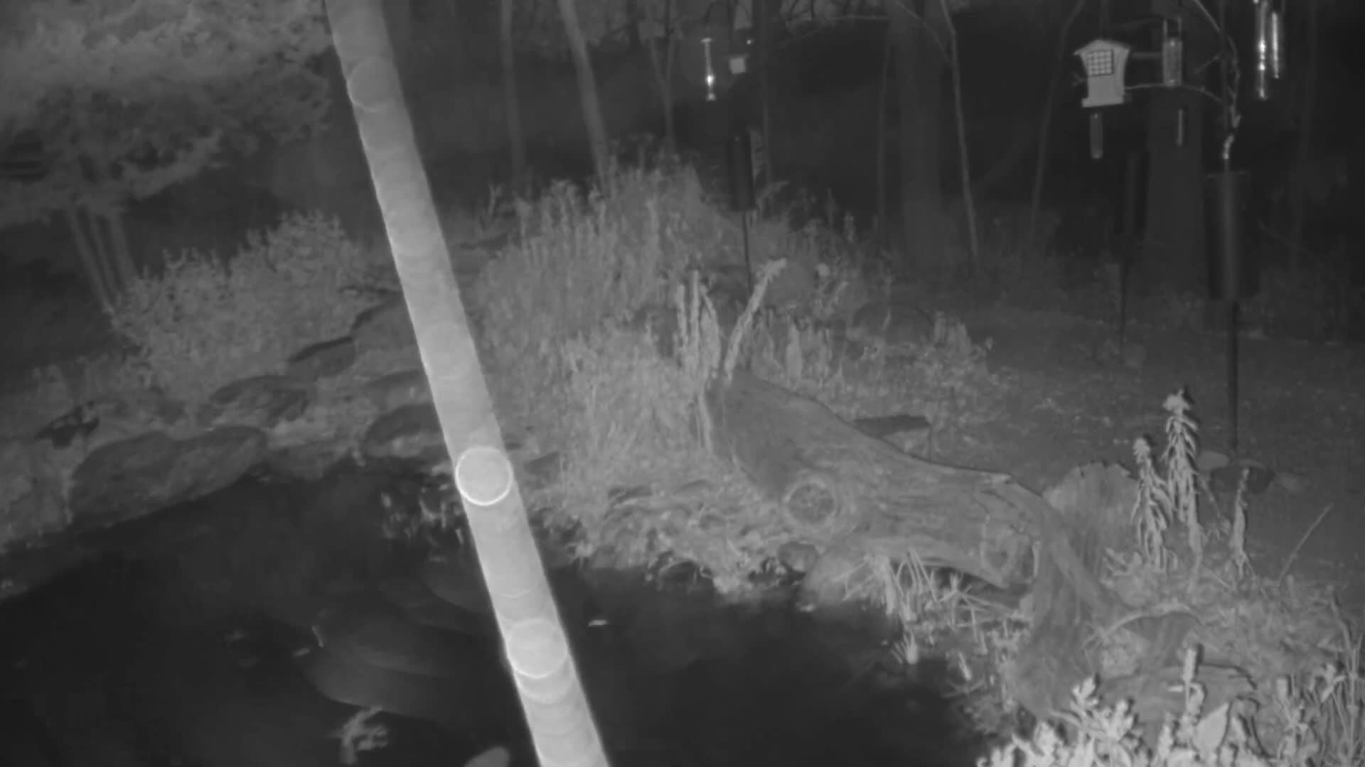 Bloomington, Richardson Nature Center Live Cam – Bloomington, Hennepin, Minnesota, USA