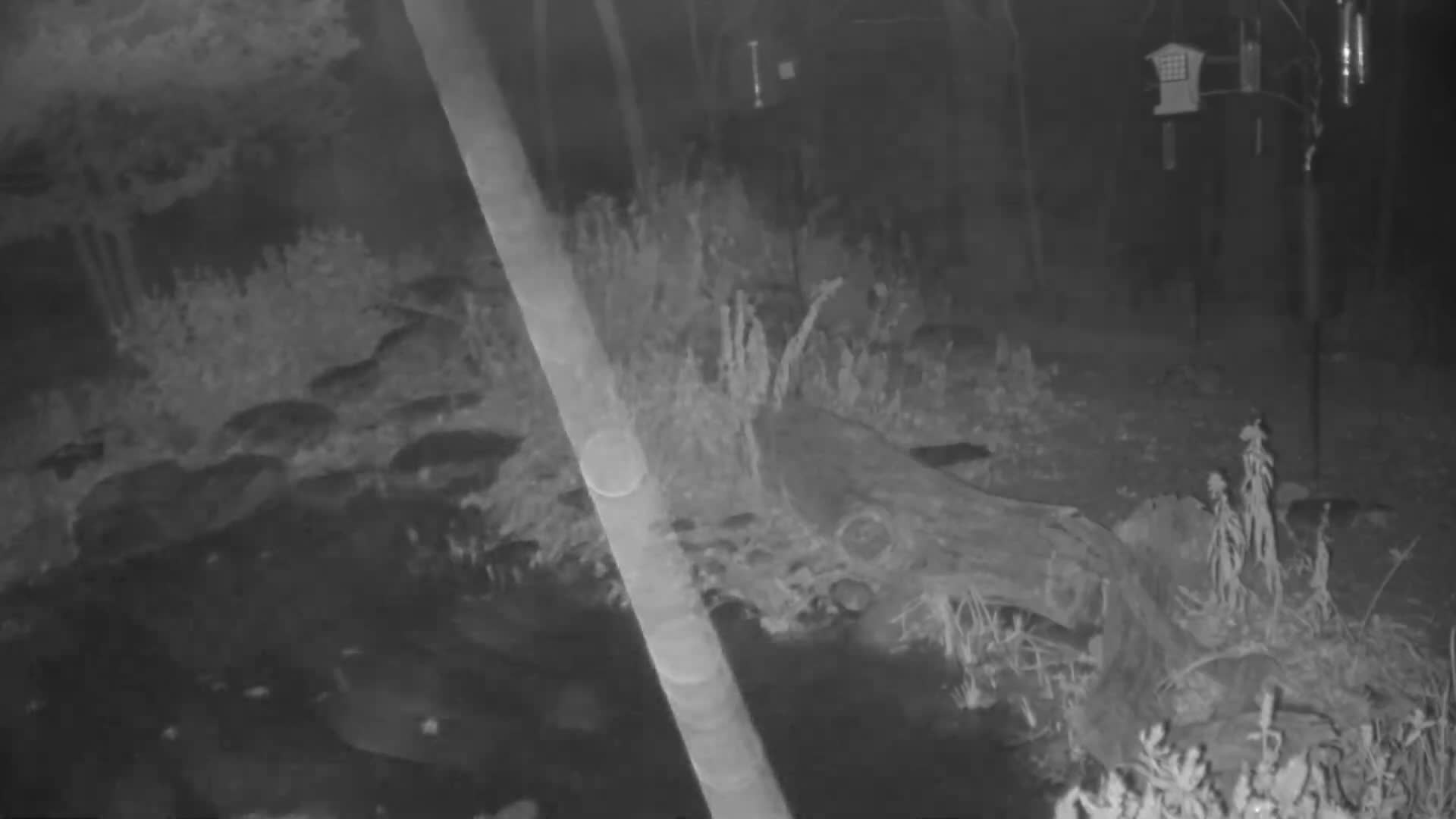 Bloomington, Richardson Nature Center Live Cam – Bloomington, Hennepin, Minnesota, USA