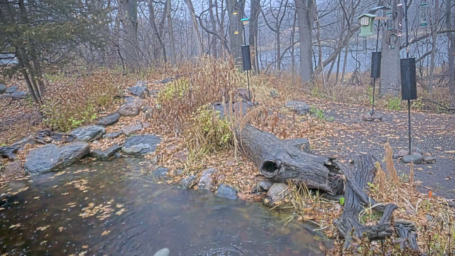 Bloomington, Richardson Nature Center Live Cam – Bloomington, Hennepin, Minnesota, USA