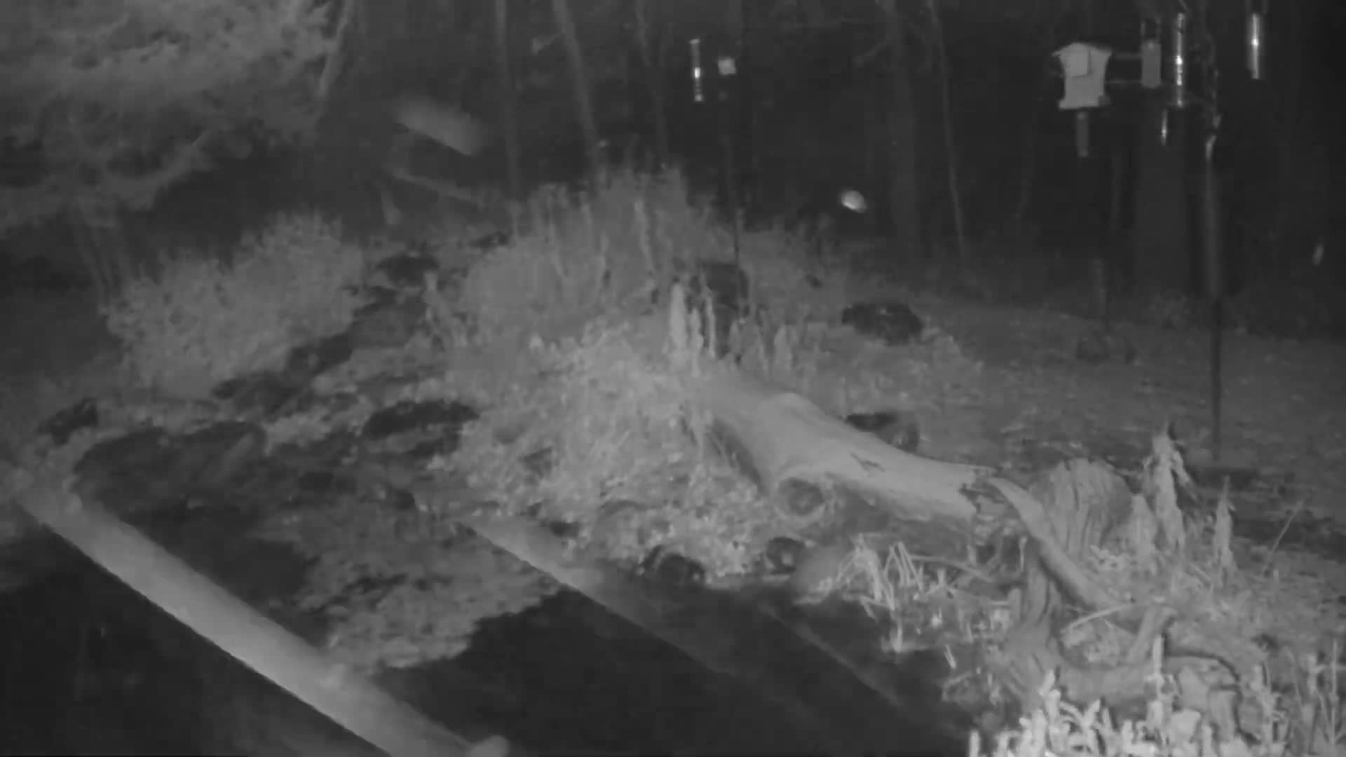 Bloomington, Richardson Nature Center Live Cam – Bloomington, Hennepin, Minnesota, USA