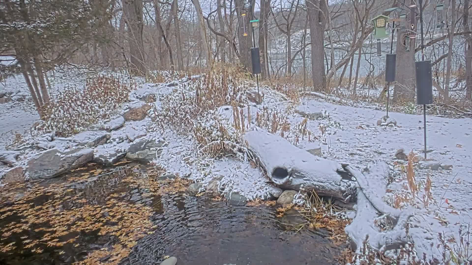 Bloomington, Richardson Nature Center Live Cam – Bloomington, Hennepin, Minnesota, USA