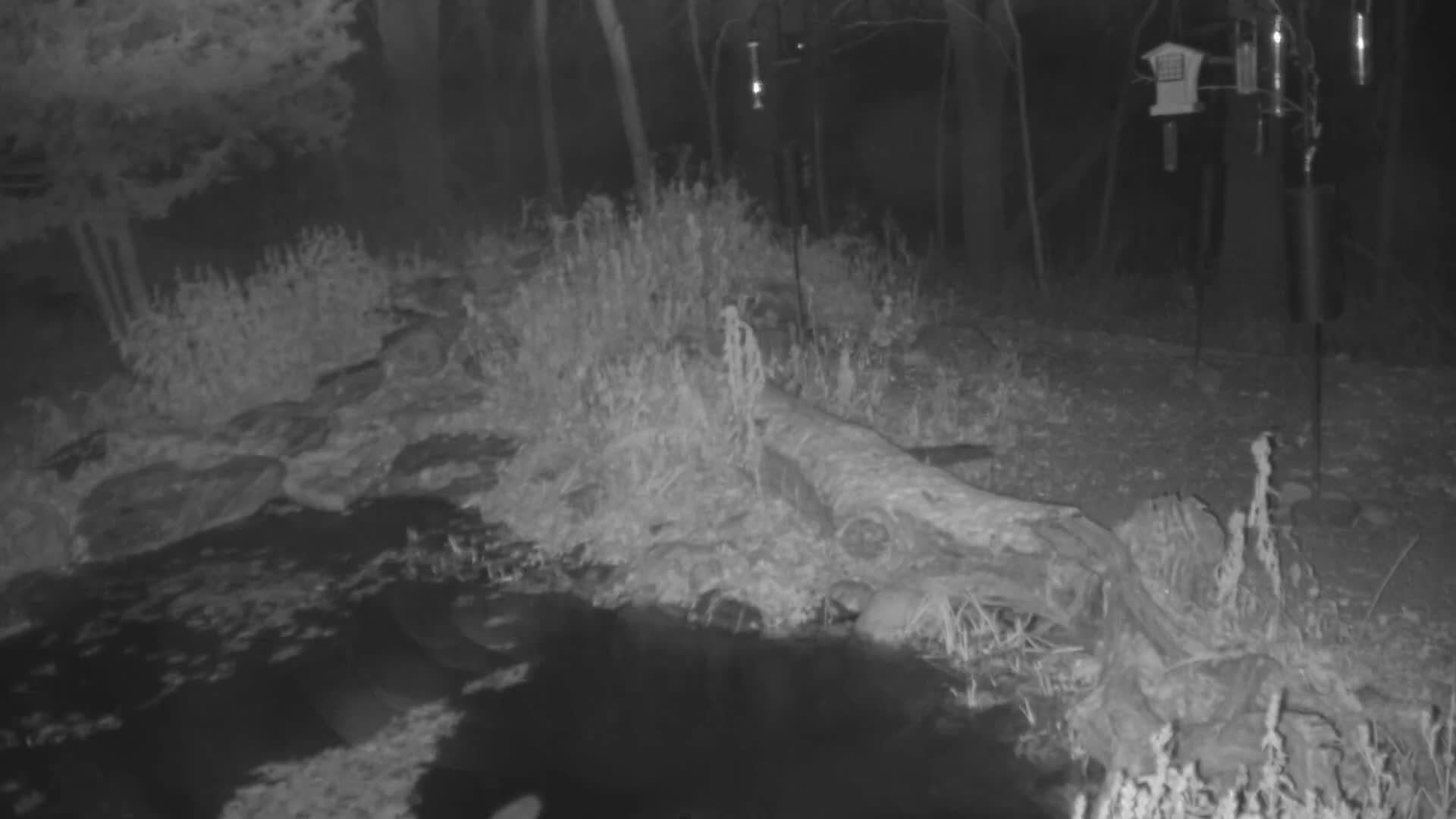 Bloomington, Richardson Nature Center Live Cam – Bloomington, Hennepin, Minnesota, USA