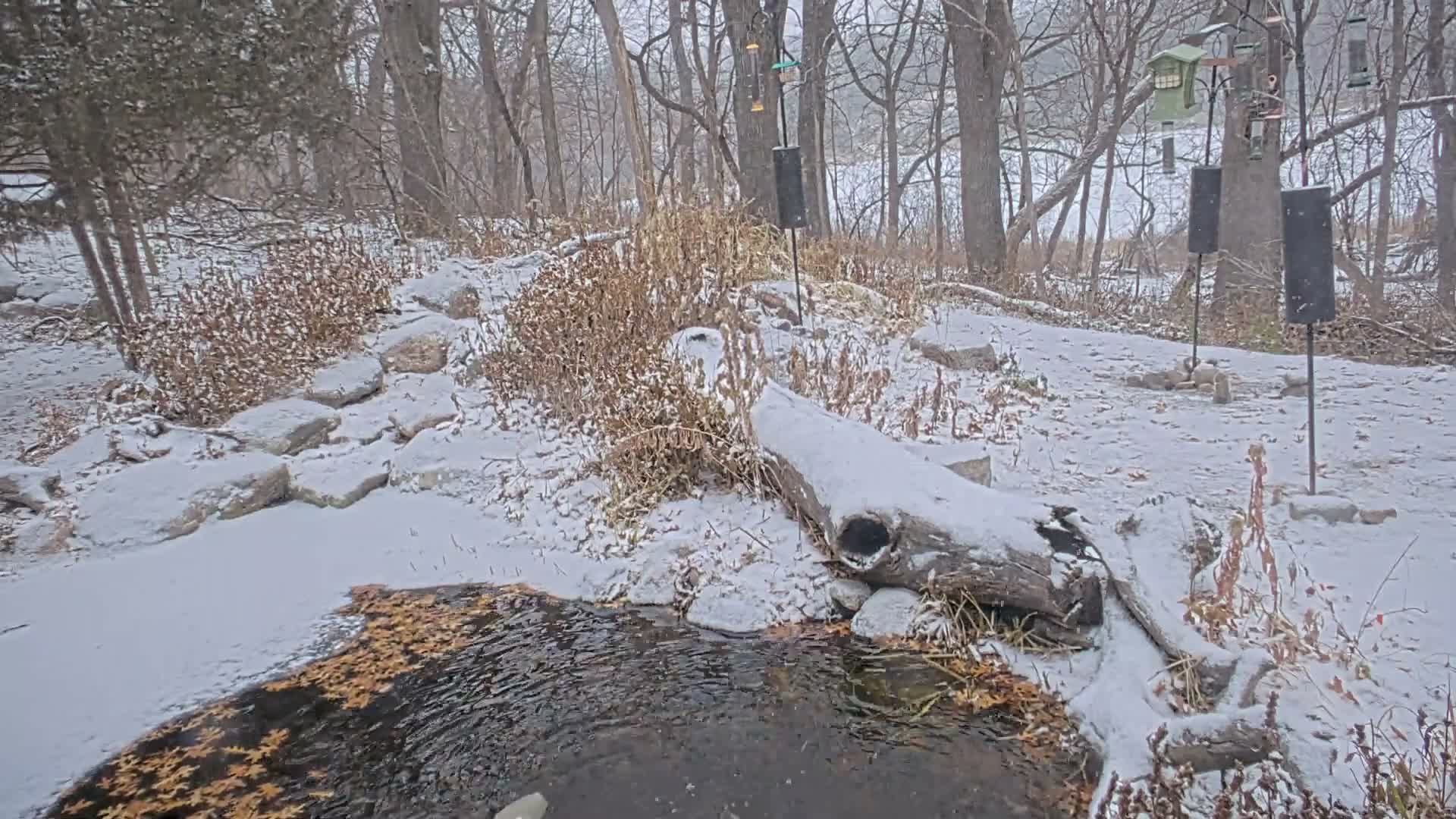 Bloomington, Richardson Nature Center Live Cam – Bloomington, Hennepin, Minnesota, USA
