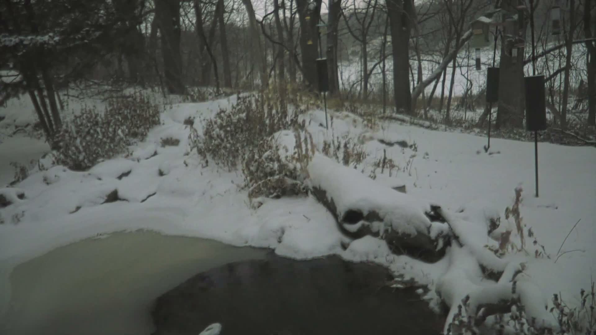 Bloomington, Richardson Nature Center Live Cam – Bloomington, Hennepin, Minnesota, USA