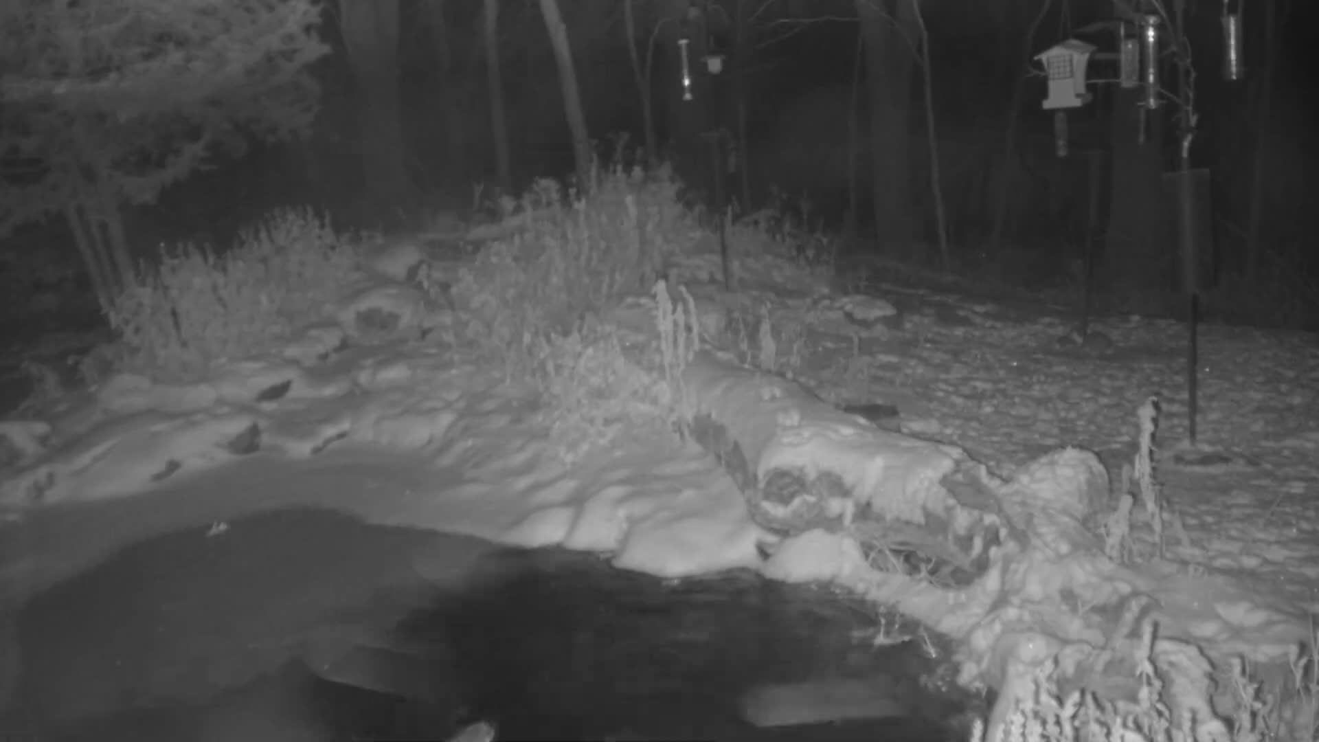 Bloomington, Richardson Nature Center Live Cam – Bloomington, Hennepin, Minnesota, USA