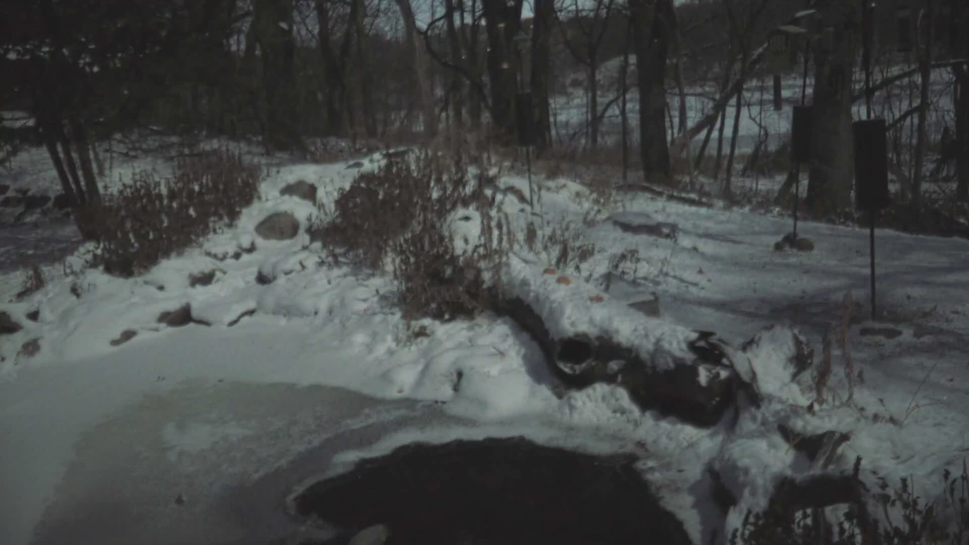 Bloomington, Richardson Nature Center Live Cam – Bloomington, Hennepin, Minnesota, USA