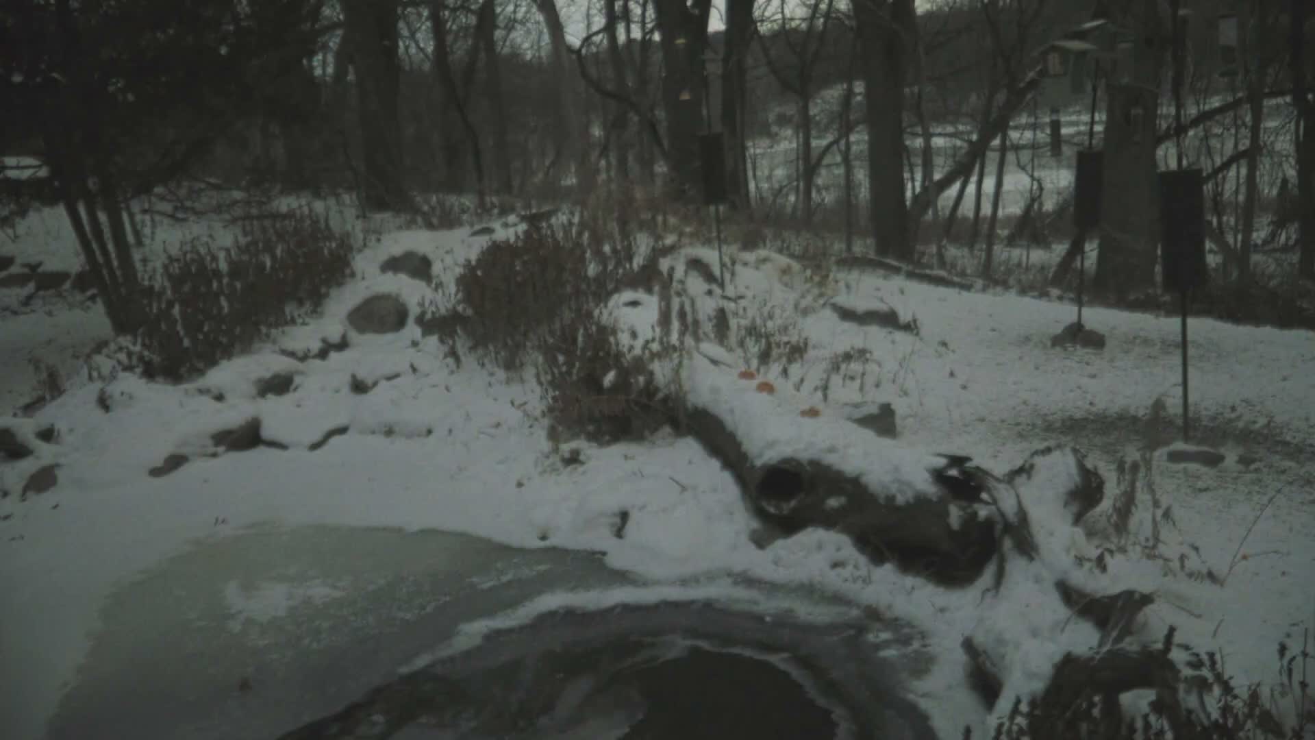 Bloomington, Richardson Nature Center Live Cam – Bloomington, Hennepin, Minnesota, USA