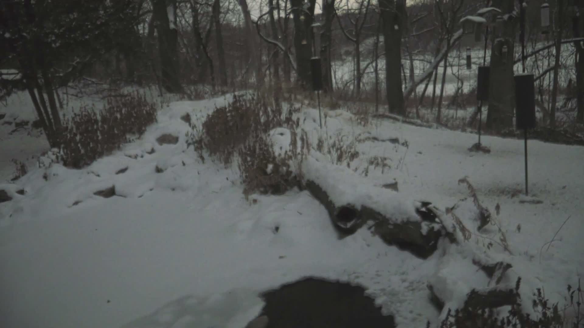 Bloomington, Richardson Nature Center Live Cam – Bloomington, Hennepin, Minnesota, USA