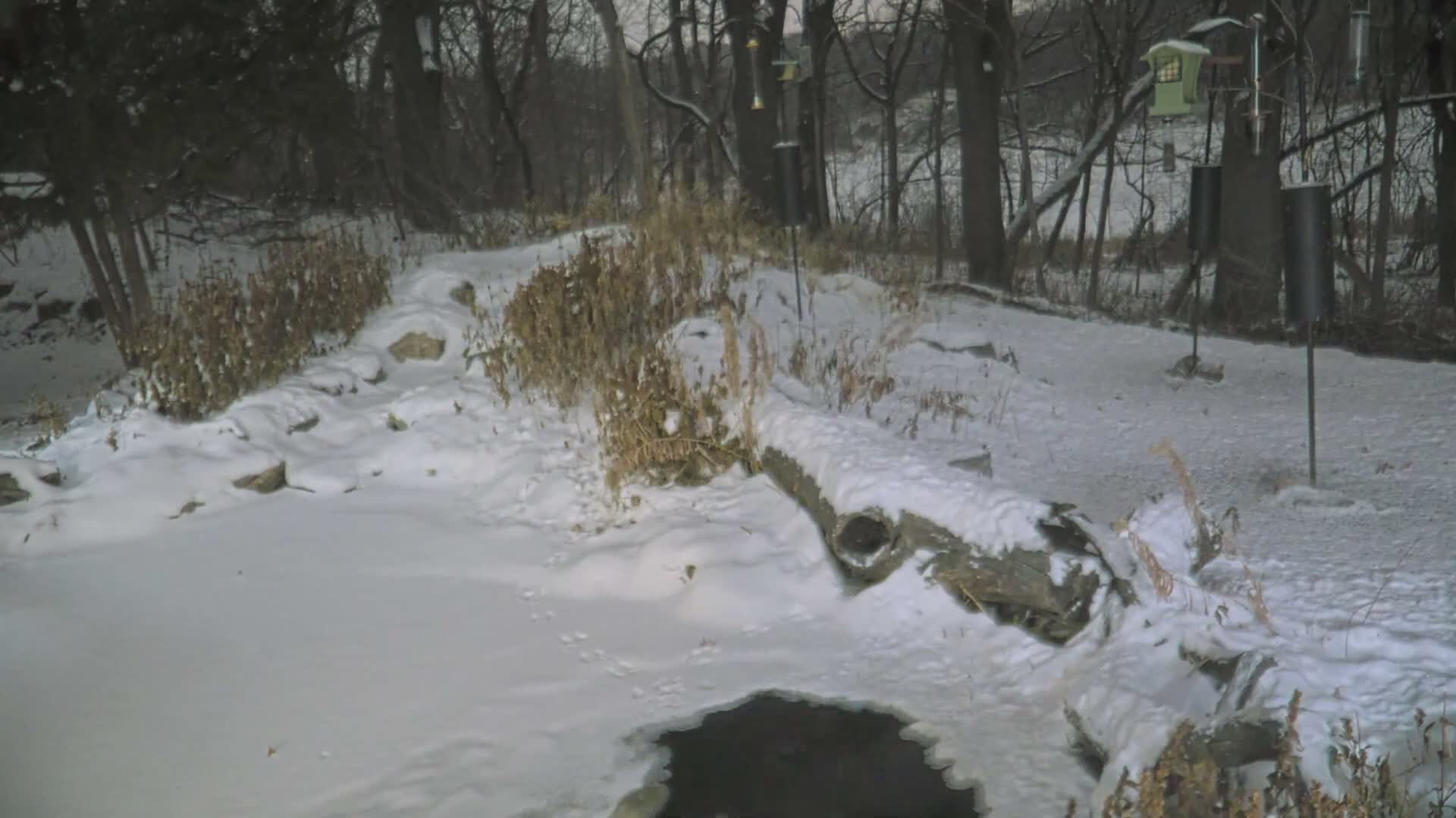 Bloomington, Richardson Nature Center Live Cam – Bloomington, Hennepin, Minnesota, USA