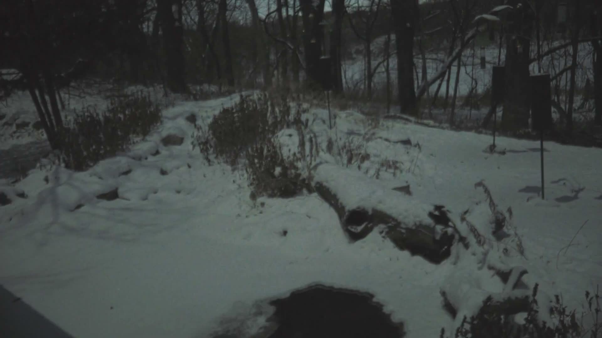 Bloomington, Richardson Nature Center Live Cam – Bloomington, Hennepin, Minnesota, USA