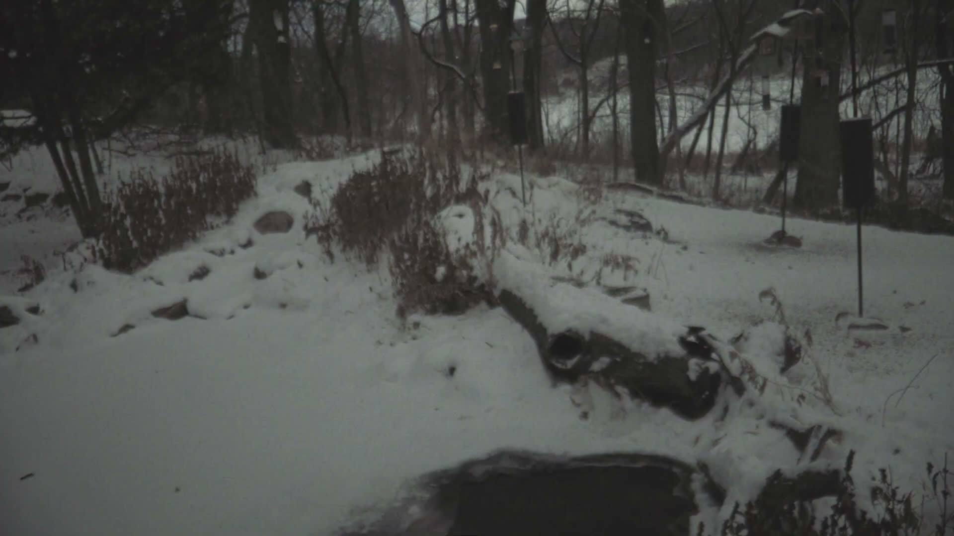 Bloomington, Richardson Nature Center Live Cam – Bloomington, Hennepin, Minnesota, USA