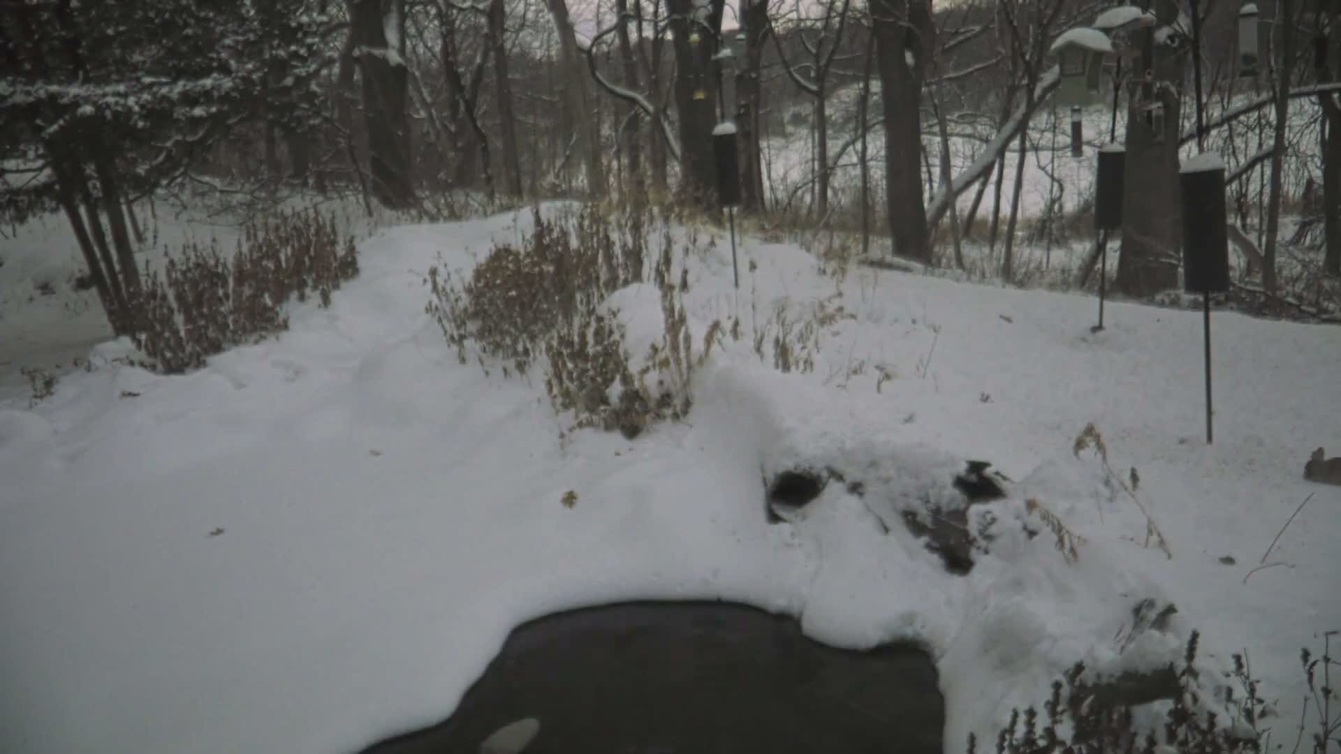 Bloomington, Richardson Nature Center Live Cam – Bloomington, Hennepin, Minnesota, USA