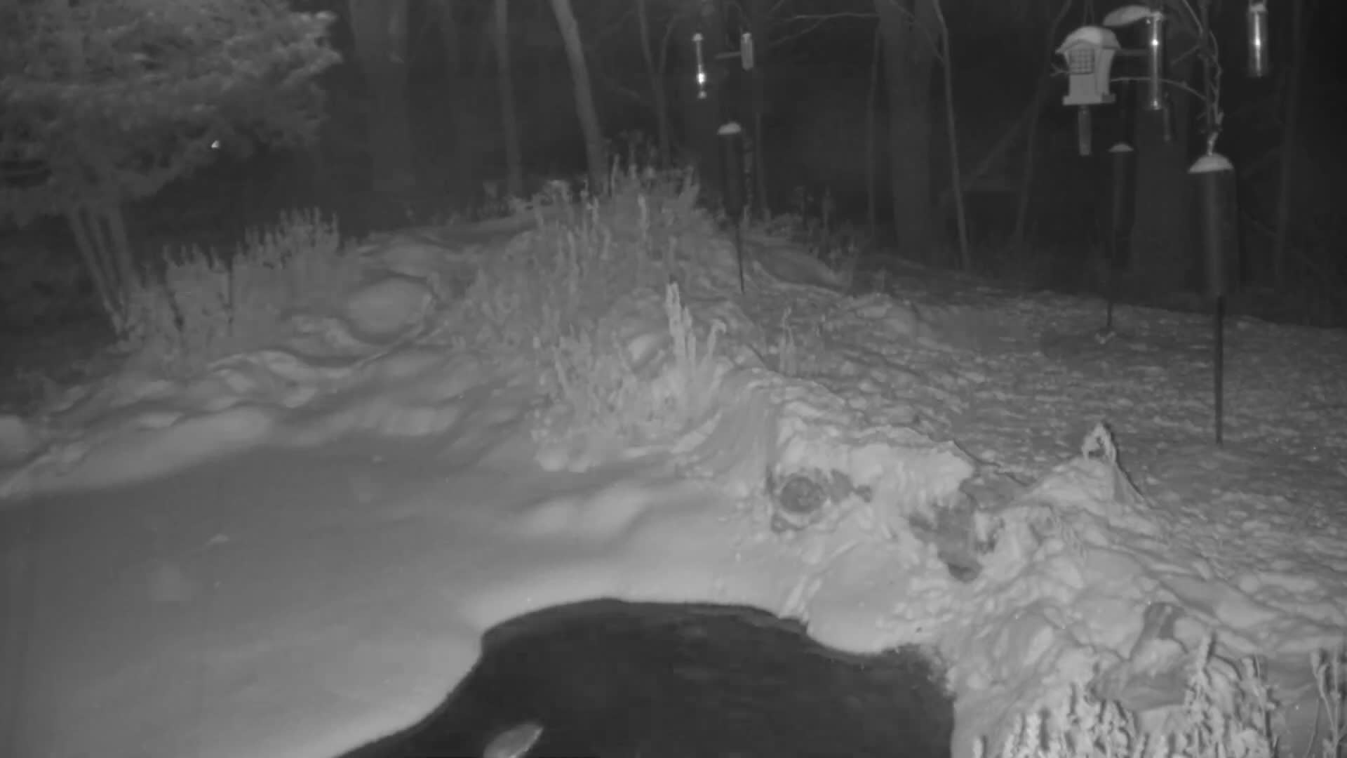 Bloomington, Richardson Nature Center Live Cam – Bloomington, Hennepin, Minnesota, USA