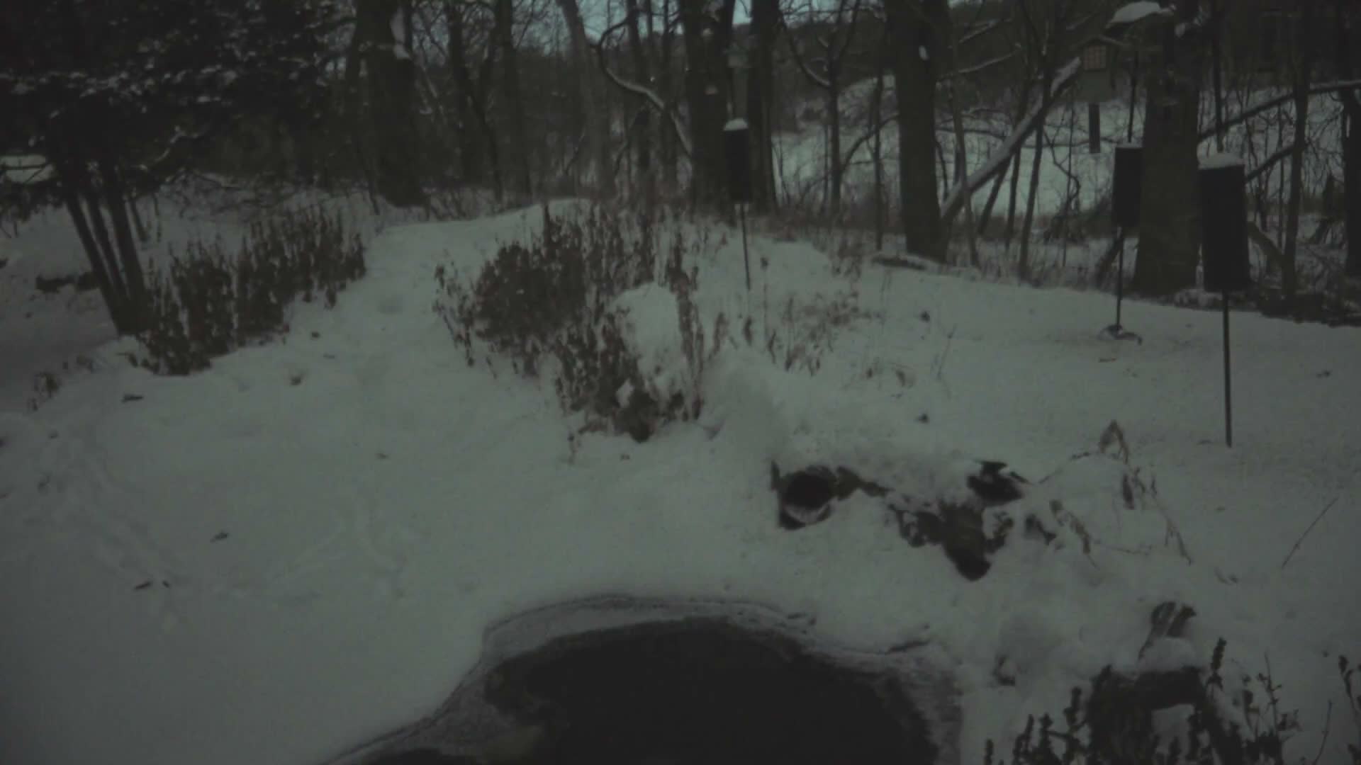 Bloomington, Richardson Nature Center Live Cam – Bloomington, Hennepin, Minnesota, USA