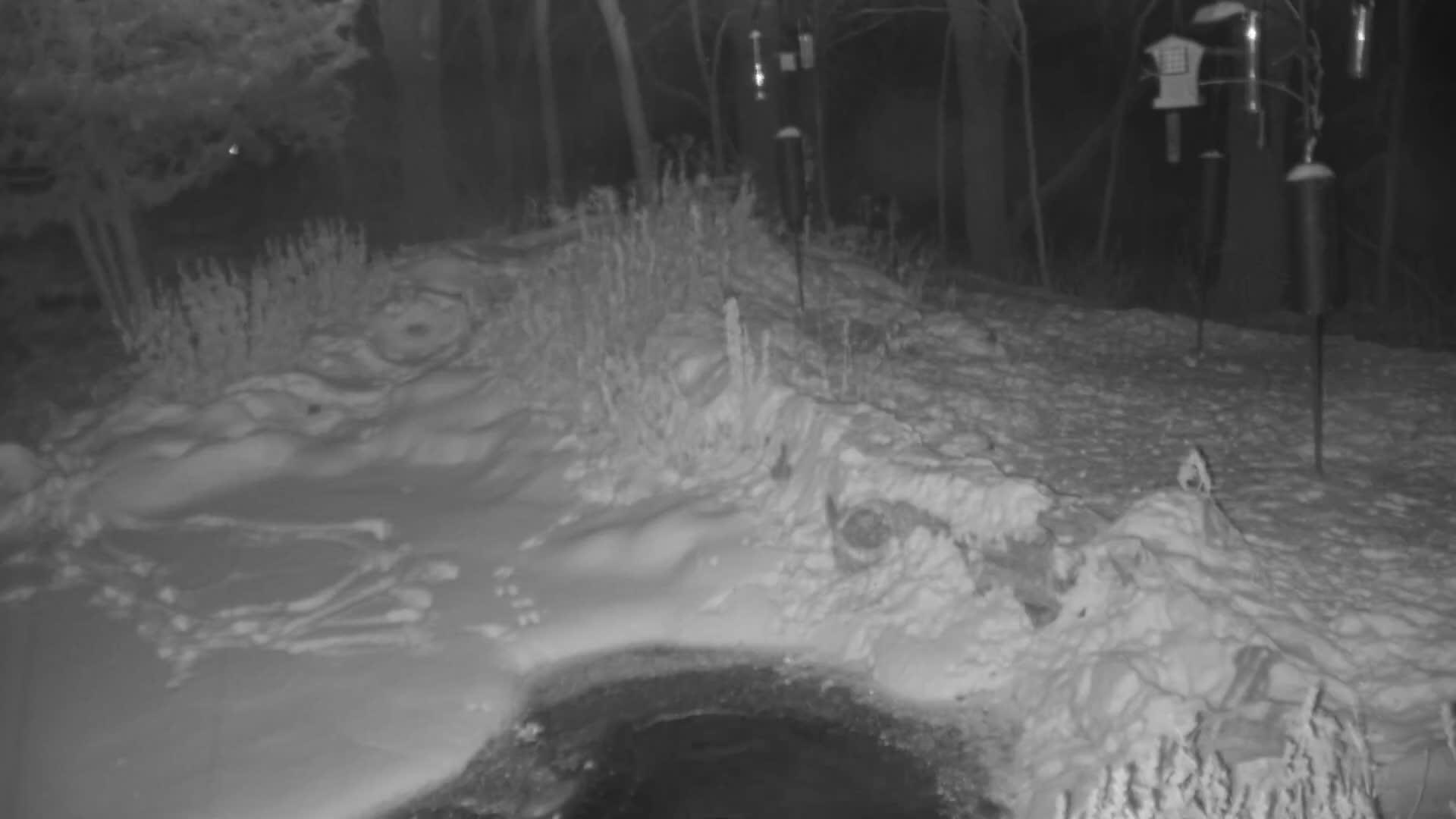 Bloomington, Richardson Nature Center Live Cam – Bloomington, Hennepin, Minnesota, USA