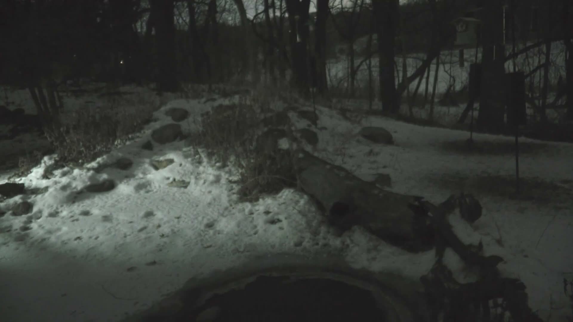 Bloomington, Richardson Nature Center Live Cam – Bloomington, Hennepin, Minnesota, USA