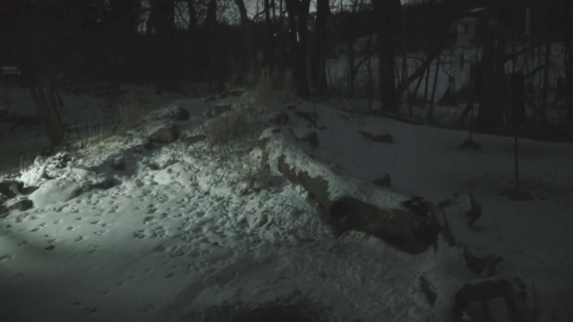Bloomington, Richardson Nature Center Live Cam – Bloomington, Hennepin, Minnesota, USA