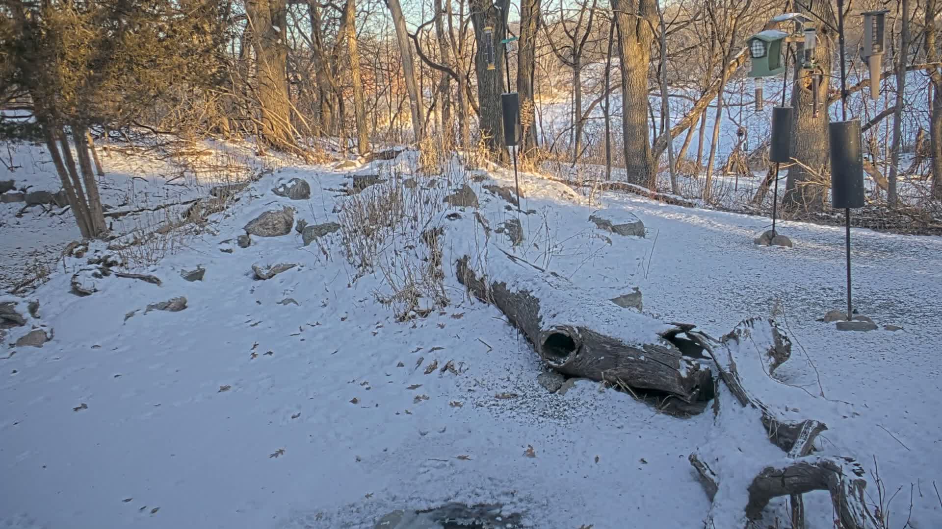Bloomington, Richardson Nature Center Live Cam – Bloomington, Hennepin, Minnesota, USA
