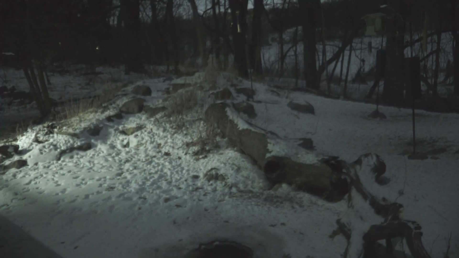 Bloomington, Richardson Nature Center Live Cam – Bloomington, Hennepin, Minnesota, USA