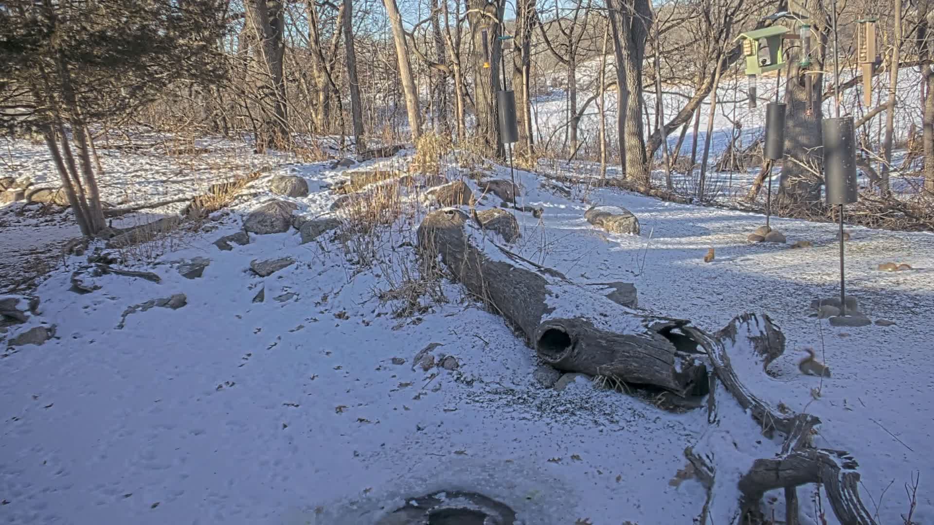 Bloomington, Richardson Nature Center Live Cam – Bloomington, Hennepin, Minnesota, USA