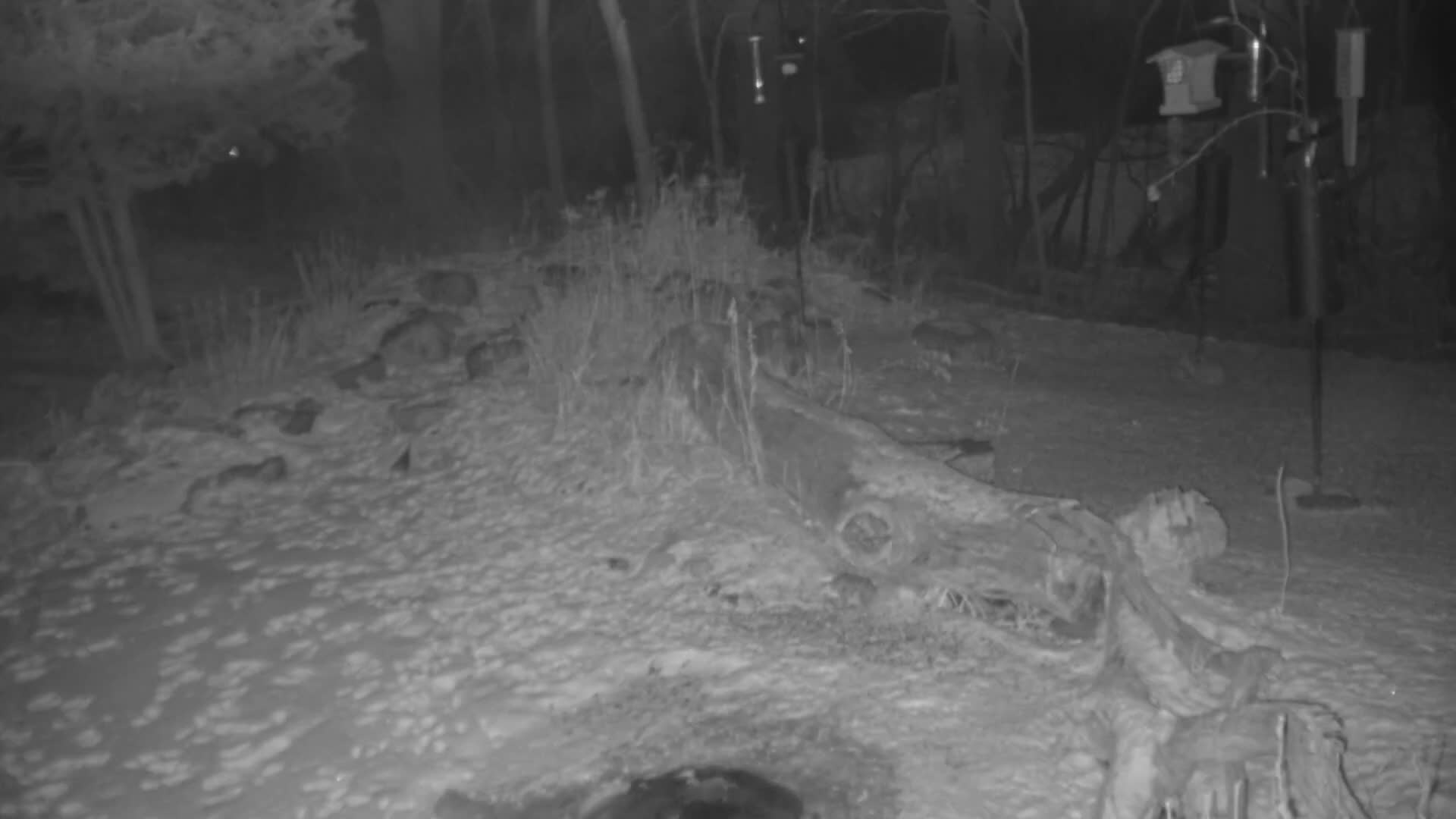 Bloomington, Richardson Nature Center Live Cam – Bloomington, Hennepin, Minnesota, USA