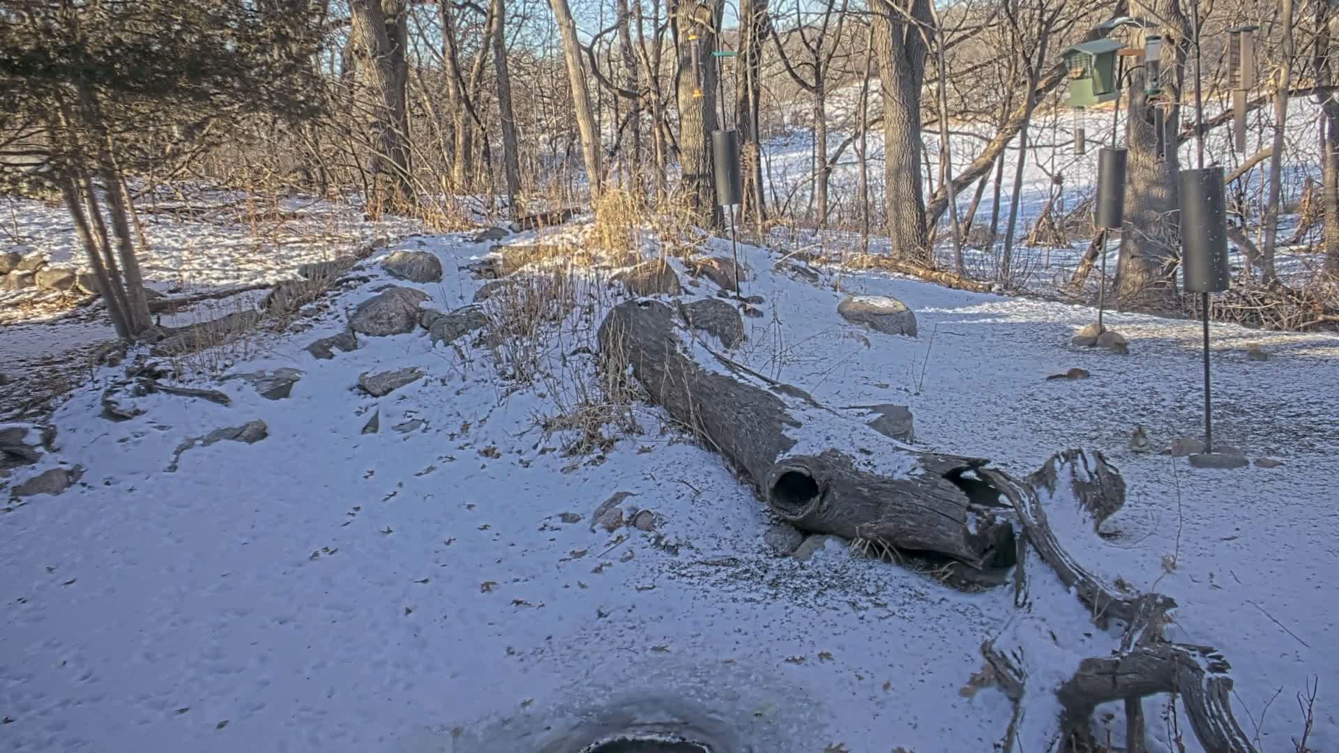Bloomington, Richardson Nature Center Live Cam – Bloomington, Hennepin, Minnesota, USA