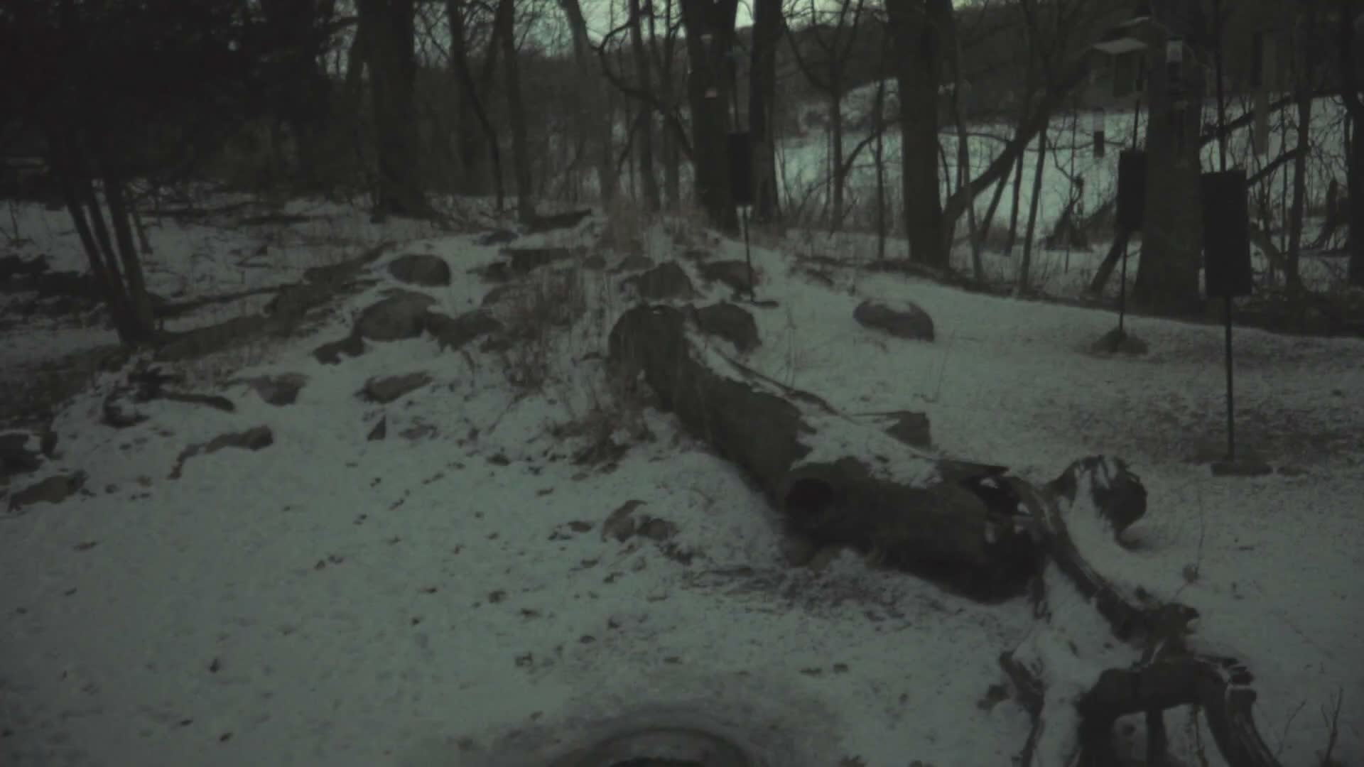 Bloomington, Richardson Nature Center Live Cam – Bloomington, Hennepin, Minnesota, USA