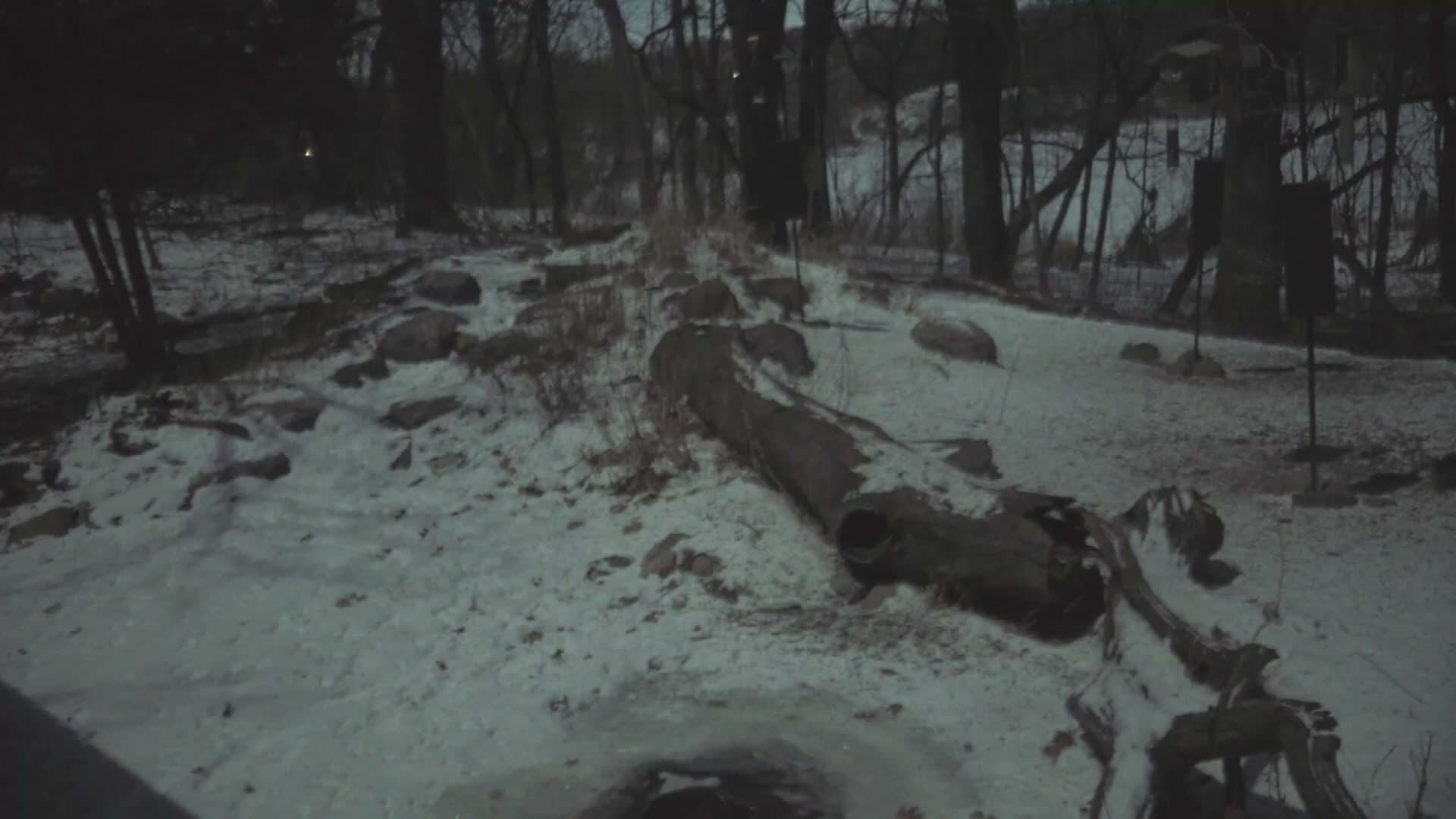 Bloomington, Richardson Nature Center Live Cam – Bloomington, Hennepin, Minnesota, USA
