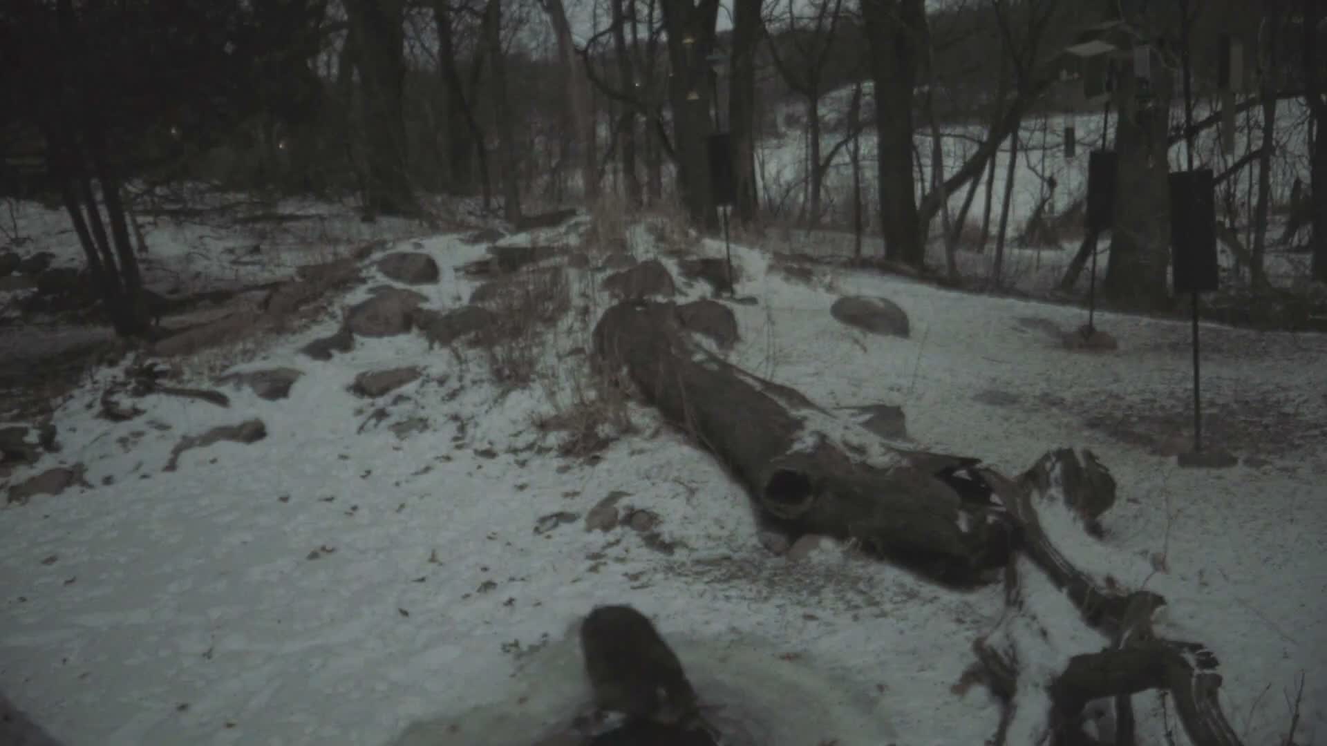 Bloomington, Richardson Nature Center Live Cam – Bloomington, Hennepin, Minnesota, USA