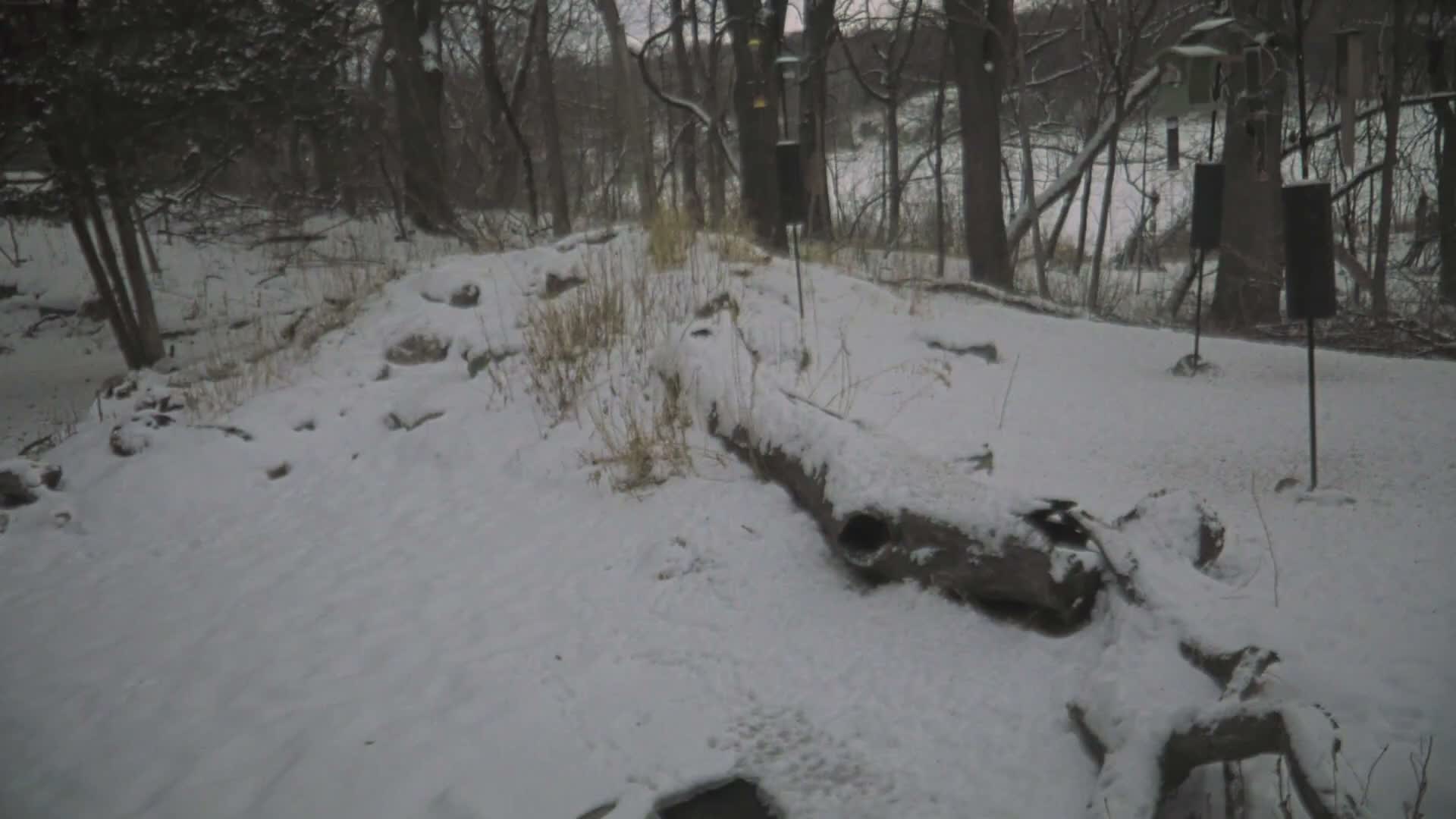 Bloomington, Richardson Nature Center Live Cam – Bloomington, Hennepin, Minnesota, USA