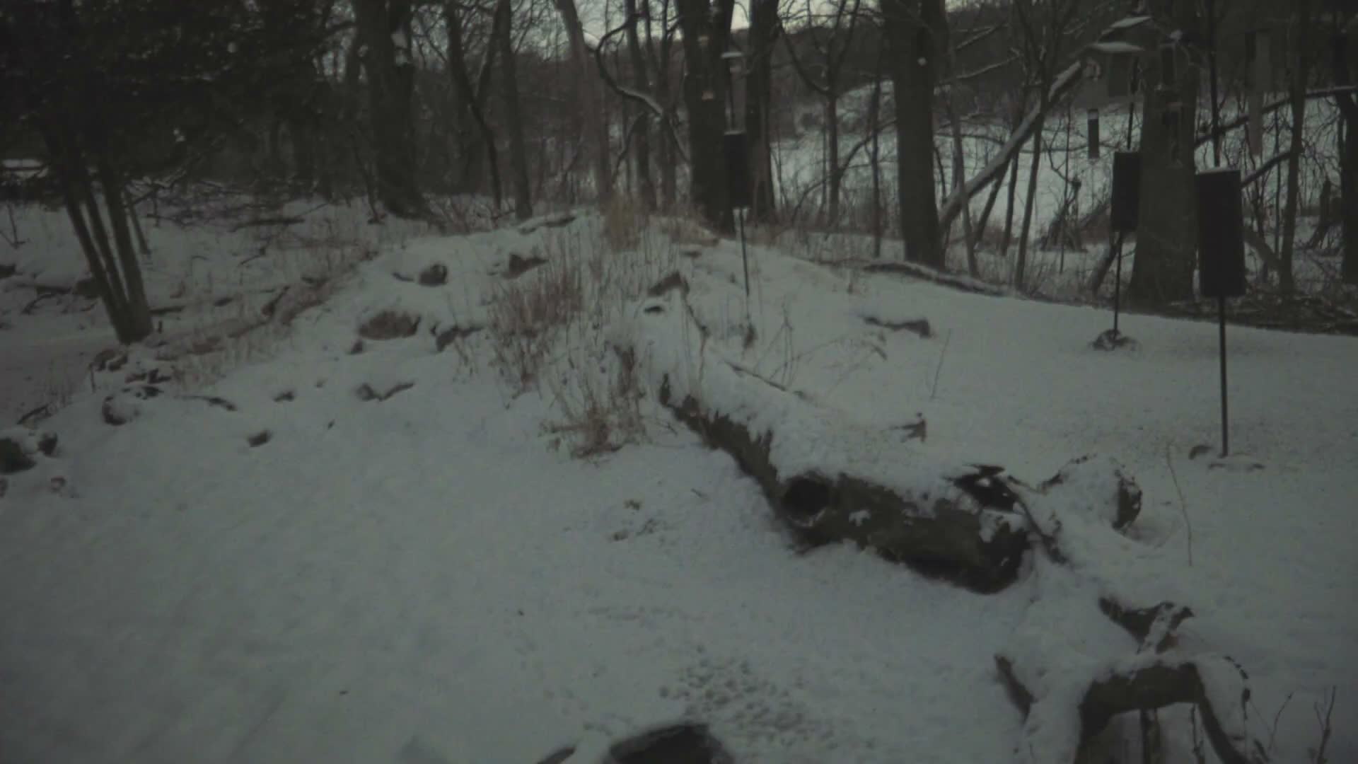 Bloomington, Richardson Nature Center Live Cam – Bloomington, Hennepin, Minnesota, USA