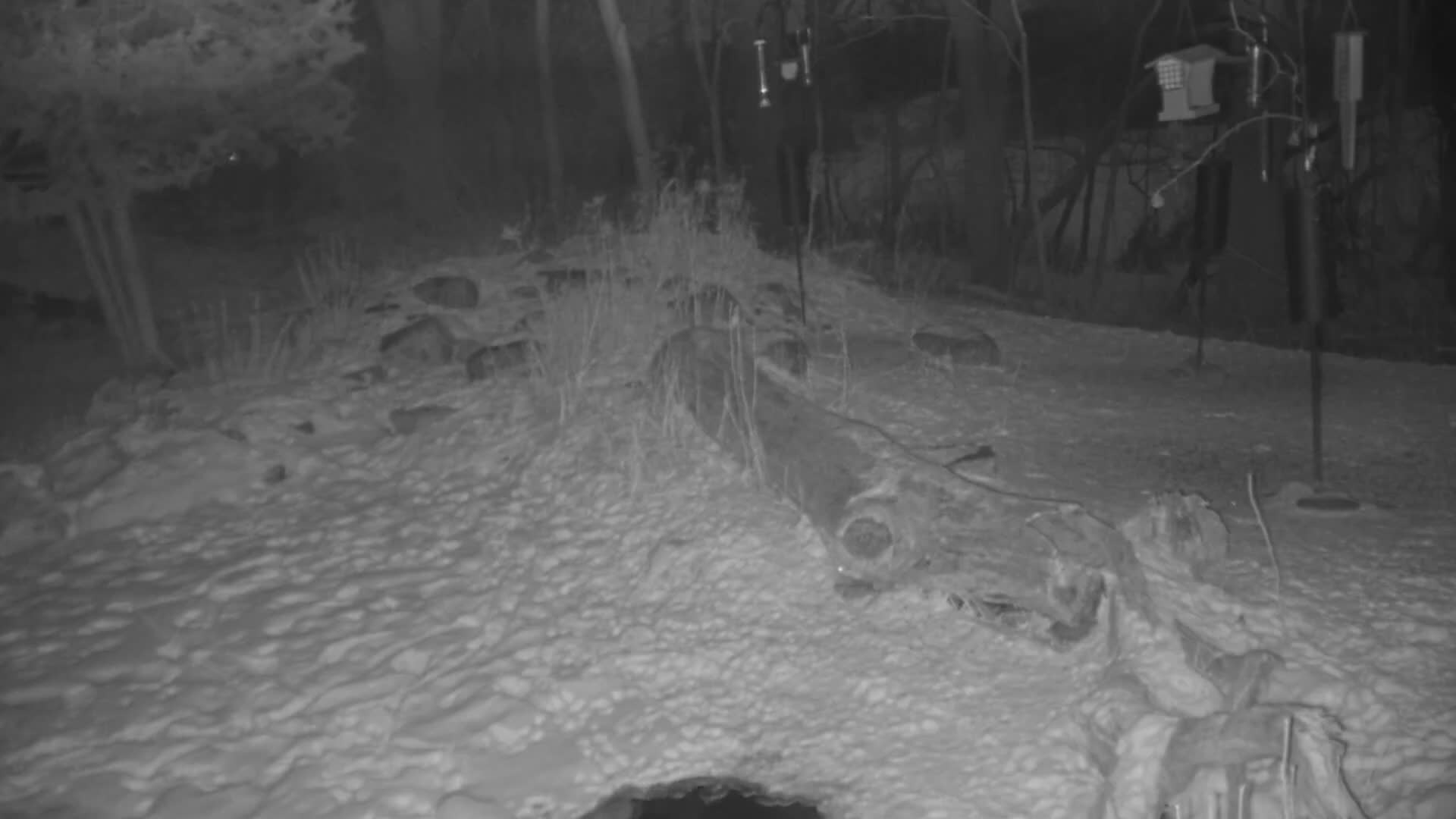 Bloomington, Richardson Nature Center Live Cam – Bloomington, Hennepin, Minnesota, USA