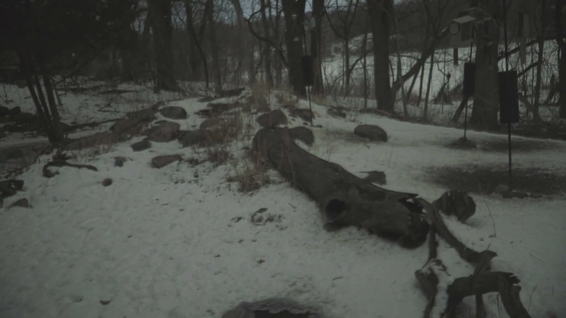 Bloomington, Richardson Nature Center Live Cam – Bloomington, Hennepin, Minnesota, USA