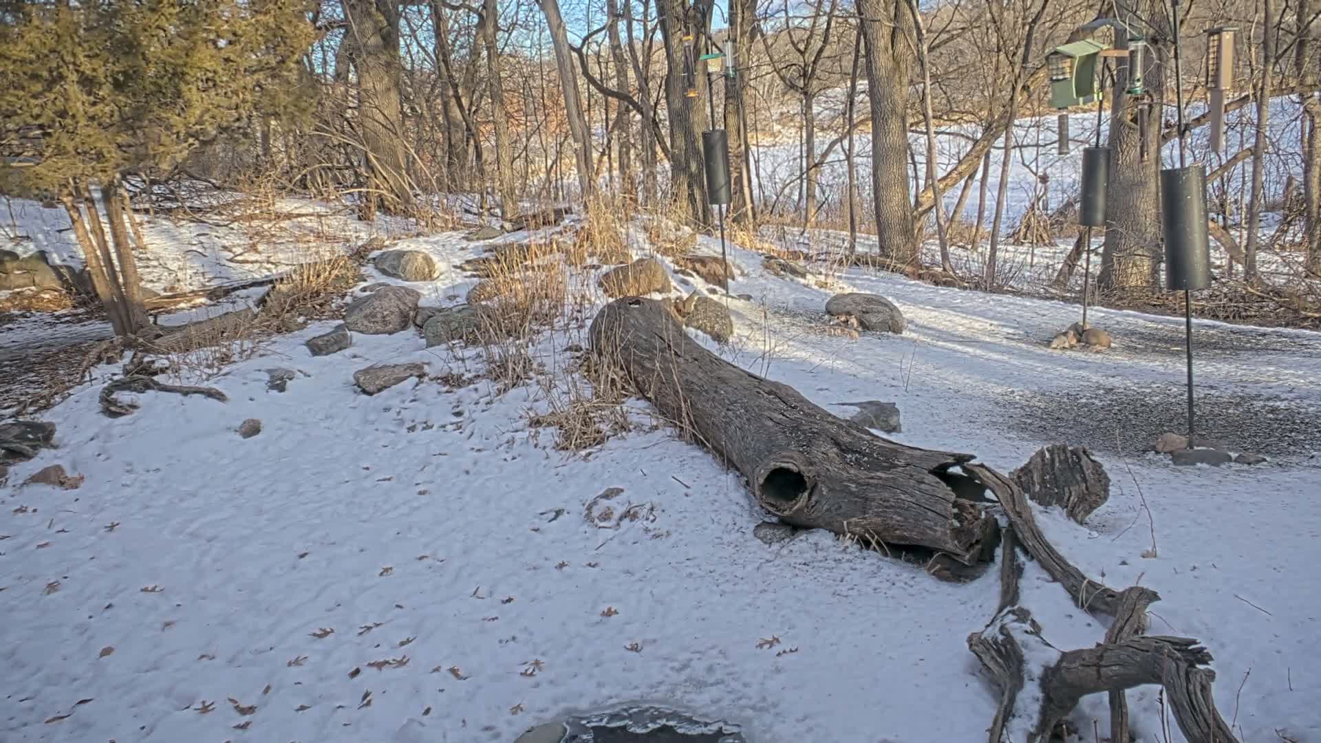 Bloomington, Richardson Nature Center Live Cam – Bloomington, Hennepin, Minnesota, USA