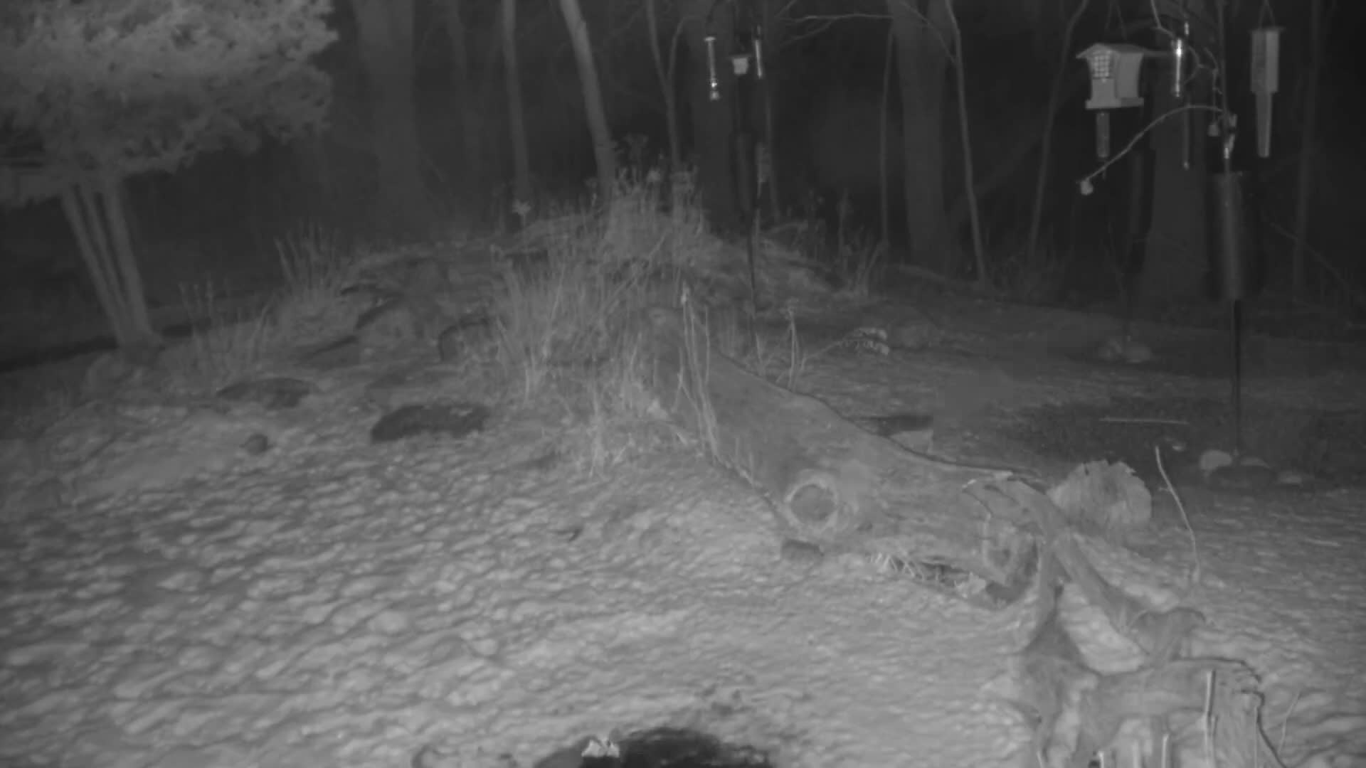 Bloomington, Richardson Nature Center Live Cam – Bloomington, Hennepin, Minnesota, USA