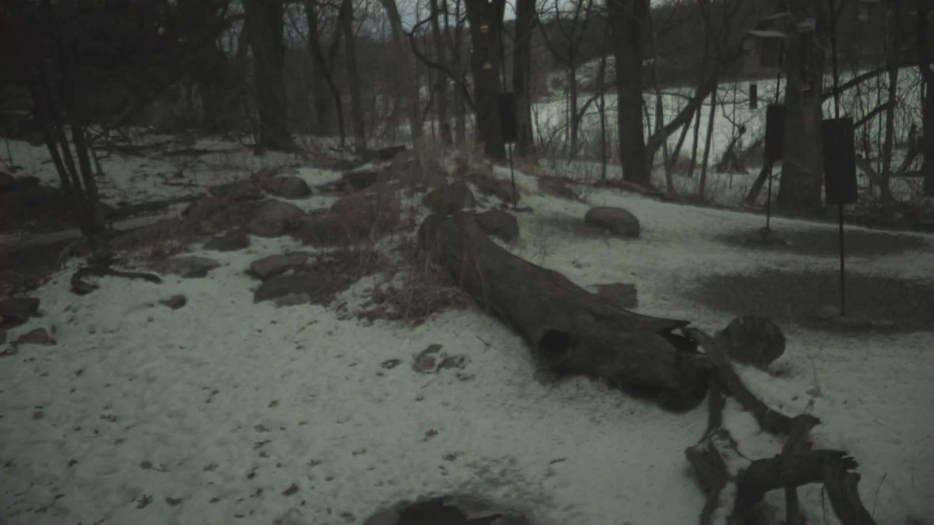 Bloomington, Richardson Nature Center Live Cam – Bloomington, Hennepin, Minnesota, USA