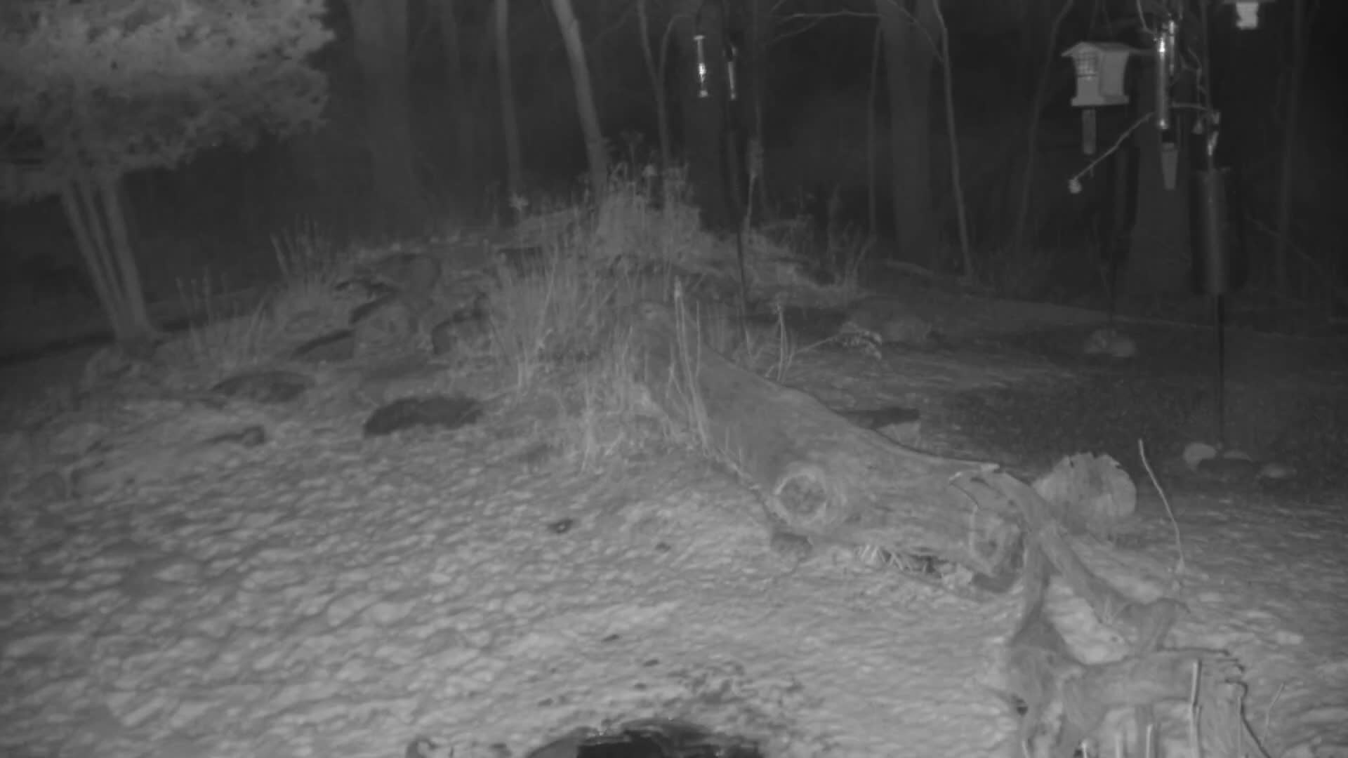 Bloomington, Richardson Nature Center Live Cam – Bloomington, Hennepin, Minnesota, USA