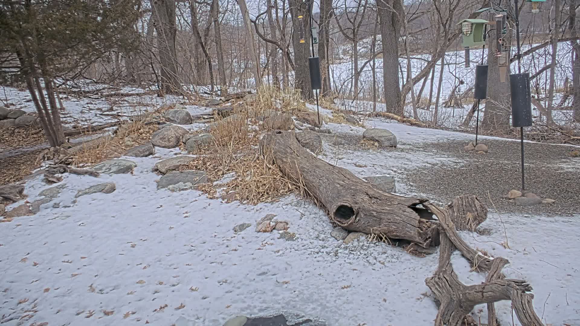 Bloomington, Richardson Nature Center Live Cam – Bloomington, Hennepin, Minnesota, USA