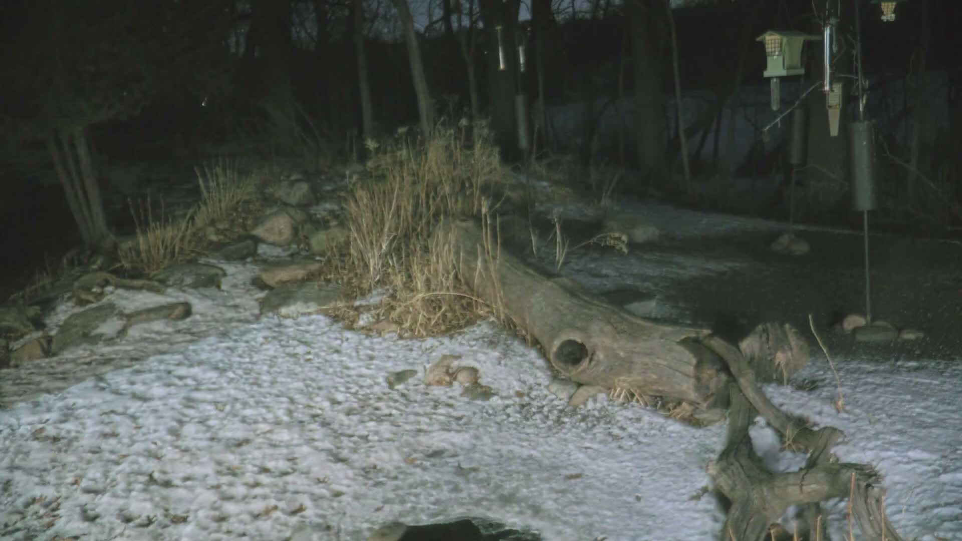 Bloomington, Richardson Nature Center Live Cam – Bloomington, Hennepin, Minnesota, USA