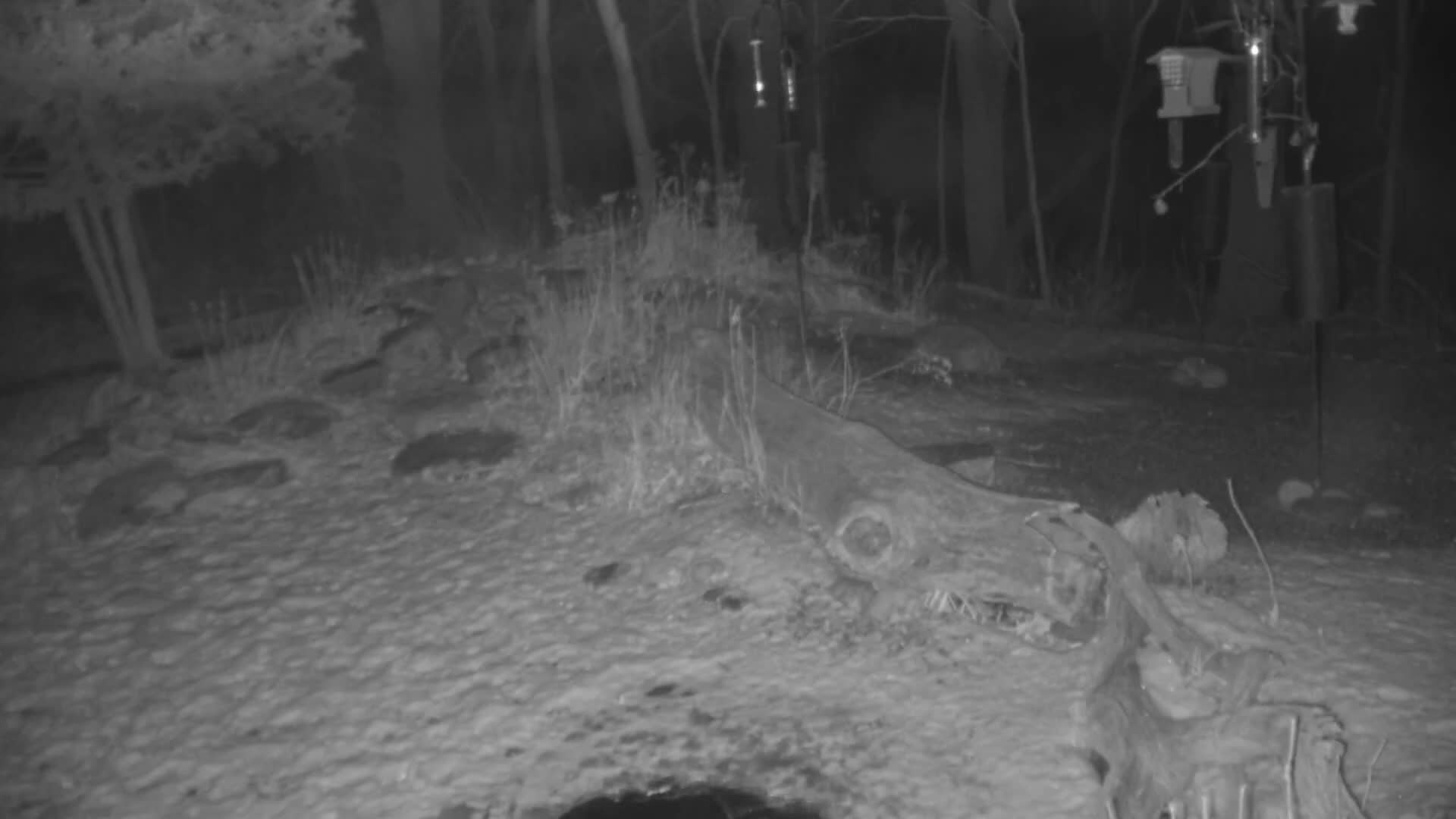 Bloomington, Richardson Nature Center Live Cam – Bloomington, Hennepin, Minnesota, USA