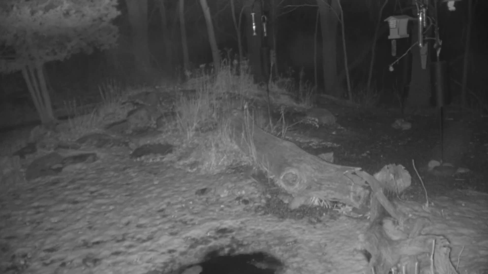 Bloomington, Richardson Nature Center Live Cam – Bloomington, Hennepin, Minnesota, USA