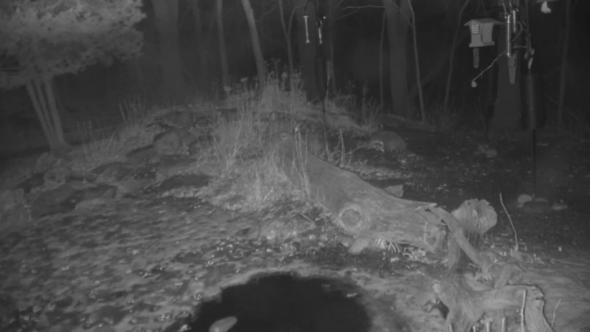 Bloomington, Richardson Nature Center Live Cam – Bloomington, Hennepin, Minnesota, USA