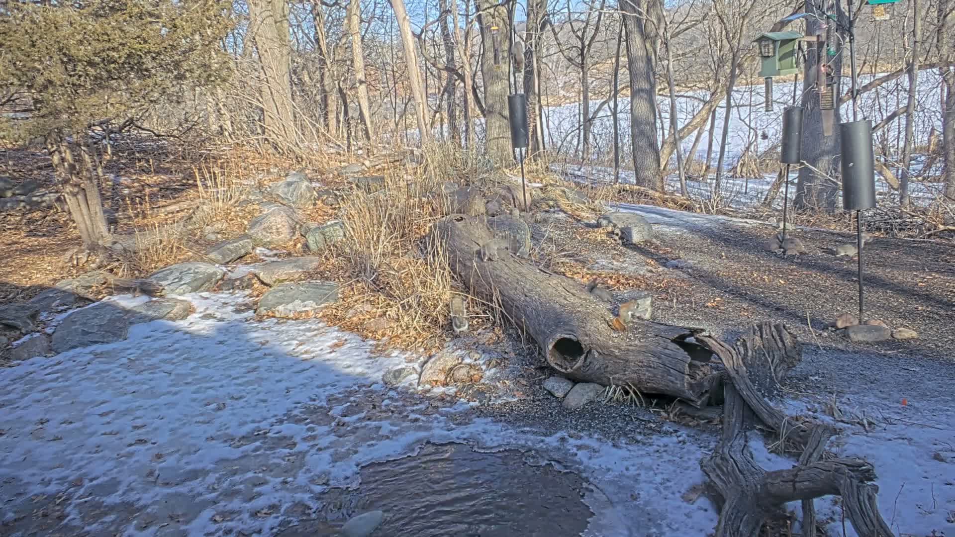 Bloomington, Richardson Nature Center Live Cam – Bloomington, Hennepin, Minnesota, USA