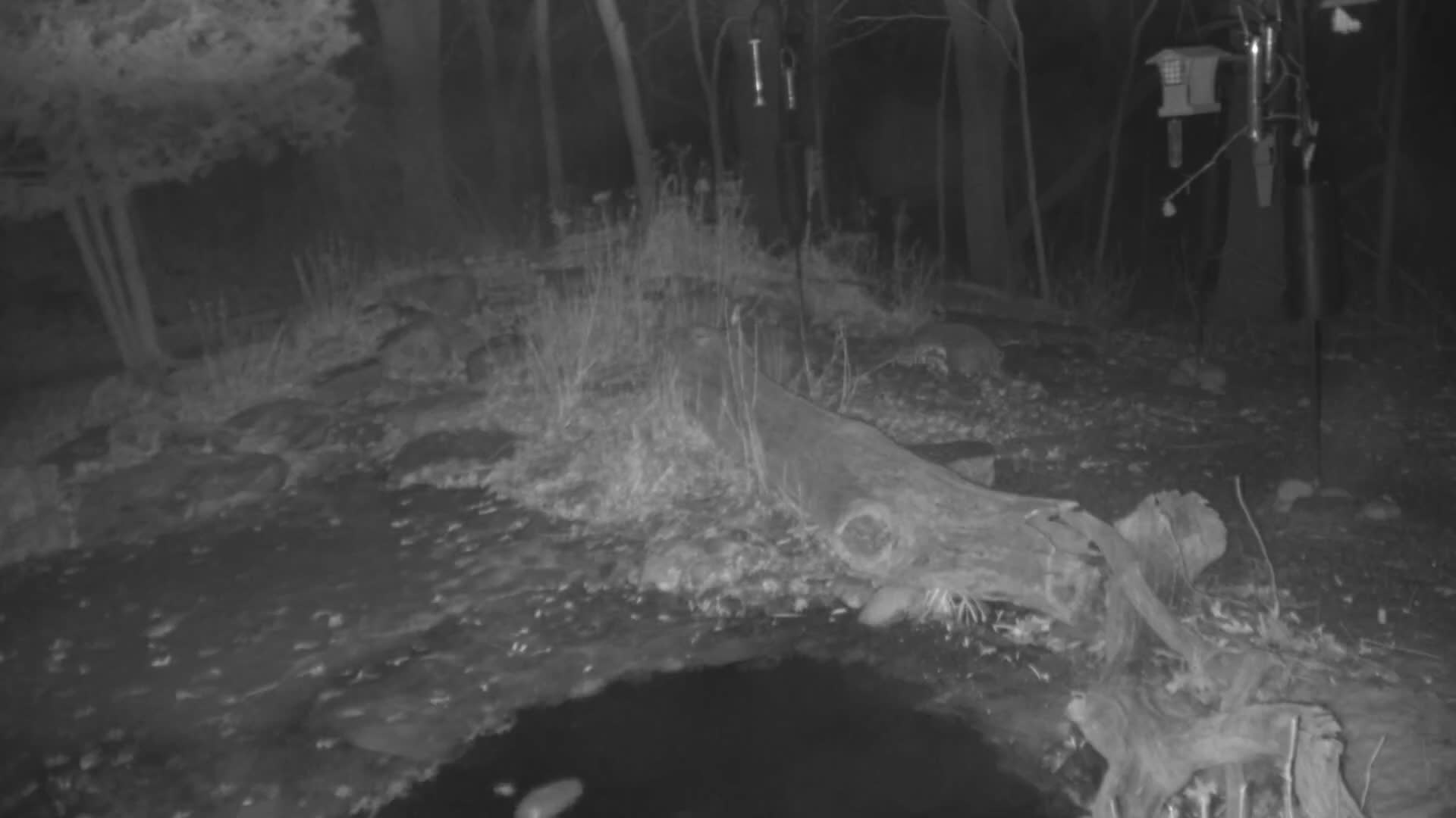 Bloomington, Richardson Nature Center Live Cam – Bloomington, Hennepin, Minnesota, USA